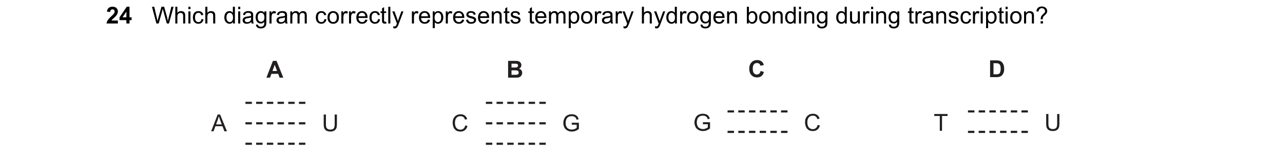 Question 153: Which diagram correctly represents temporary hydrogen bonding during transcription? A B C D A U C G G C T U