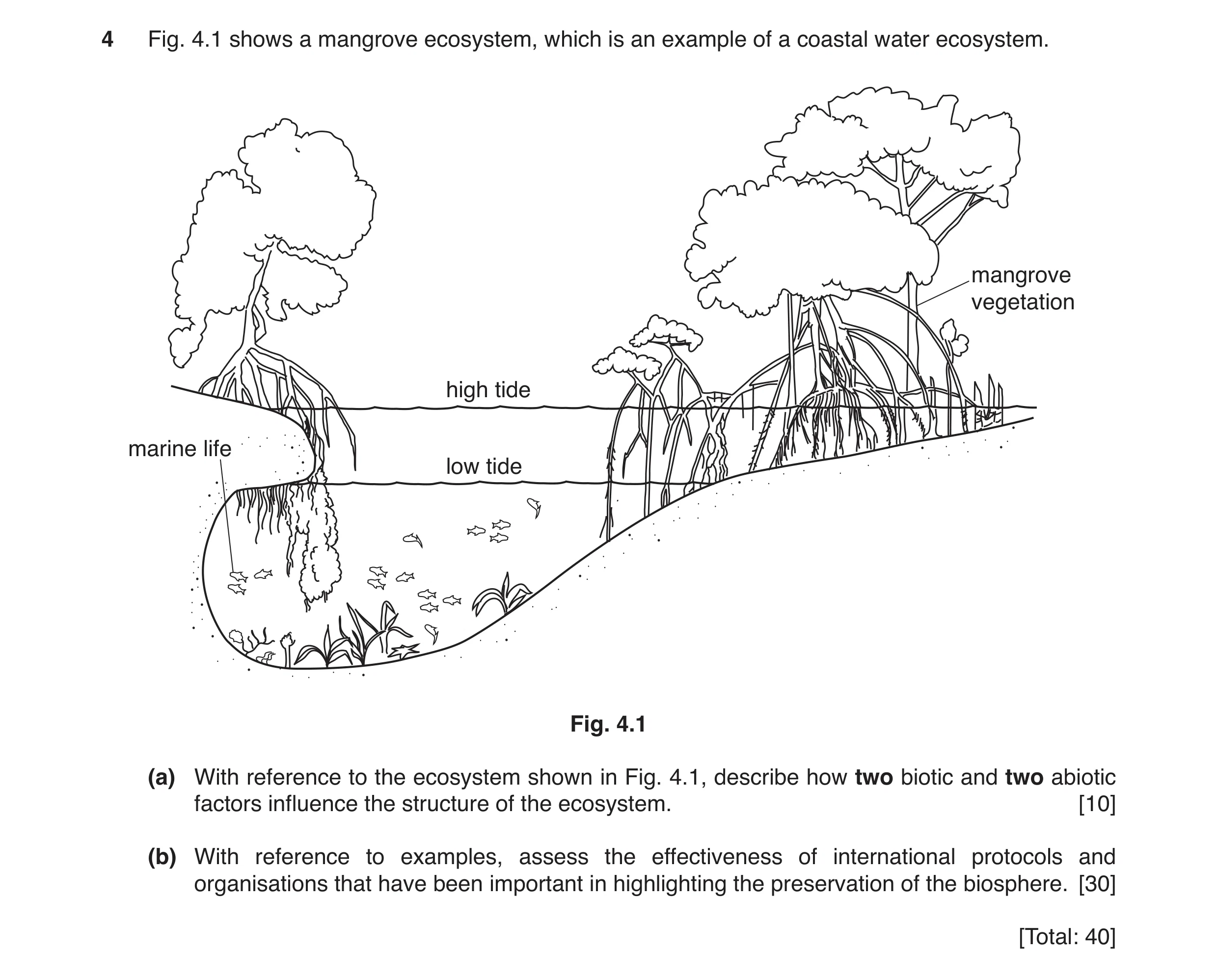 Question 5: Fig. 4.1 shows a mangrove ecosystem, which is an example of a coastal water ecosystem. mangrove vegetation high tide marine life low tide F…