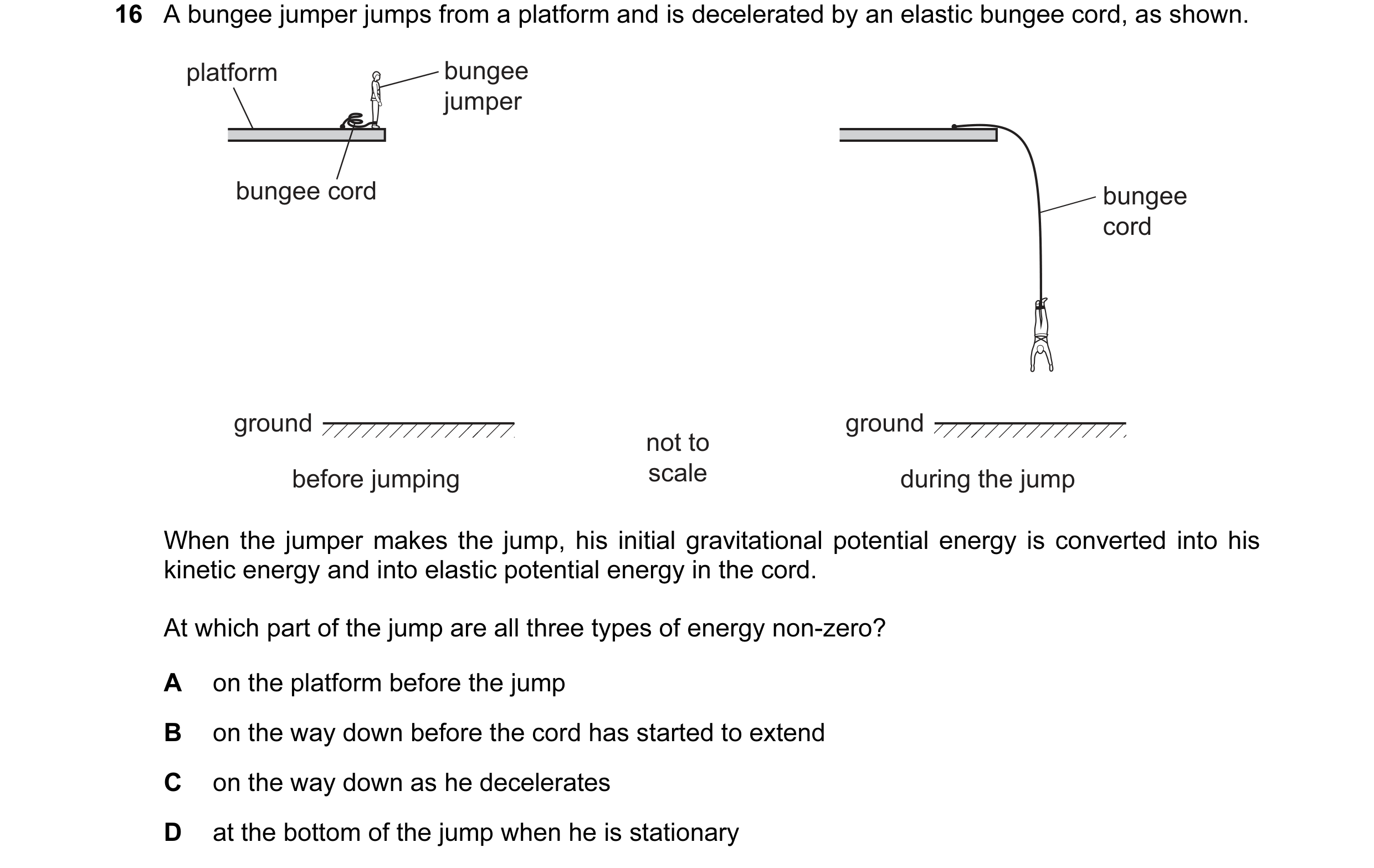Question 68: A bungee jumper jumps from a platform and is decelerated by an elastic bungee cord, as shown. platform bungee jumper bungee cord bungee cor…