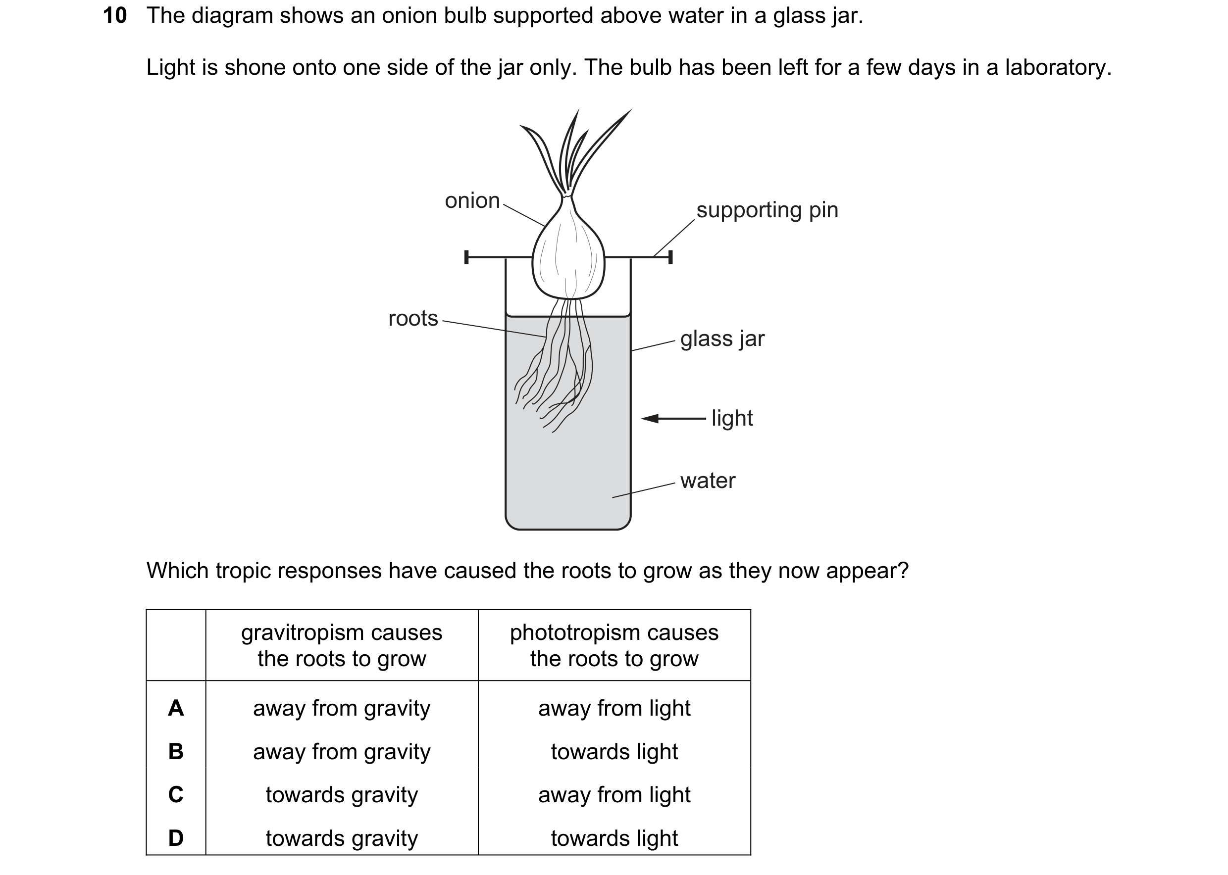 Question 80: The diagram shows an onion bulb supported above water in a glass jar. Light is shone onto one side of the jar only. The bulb has been left …