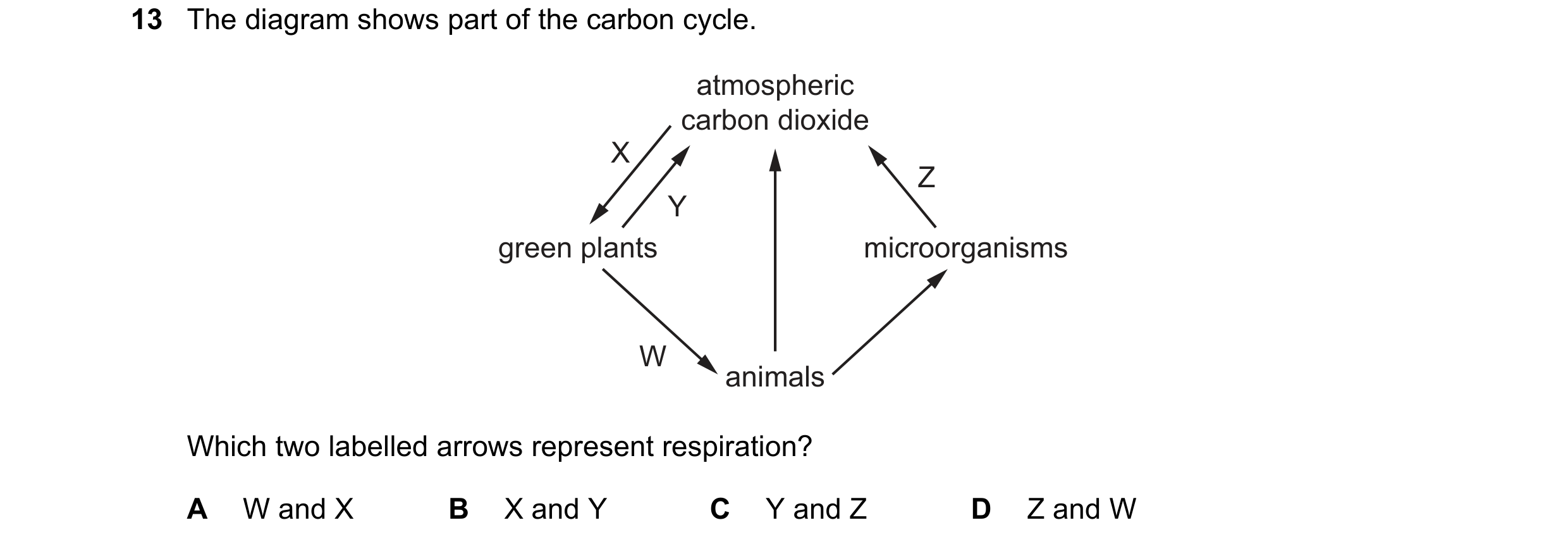 Question 26: The diagram shows part of the carbon cycle. atmospheric carbon dioxide X Z Y green plants microorganisms W animals Which two labelled arrow…