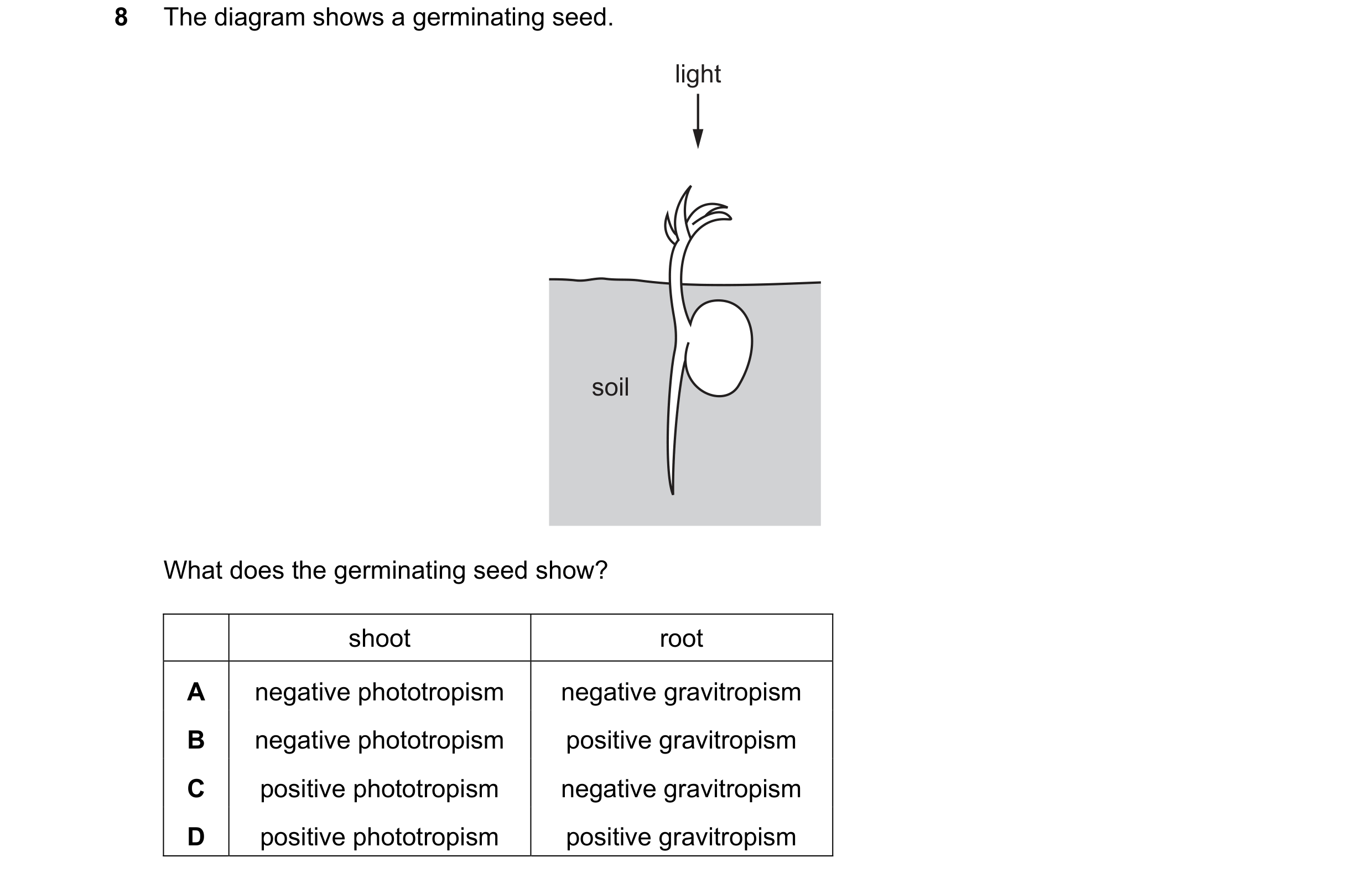 Question 73: The diagram shows a germinating seed. light soil What does the germinating seed show? shoot root A negative phototropism negative gravitrop…