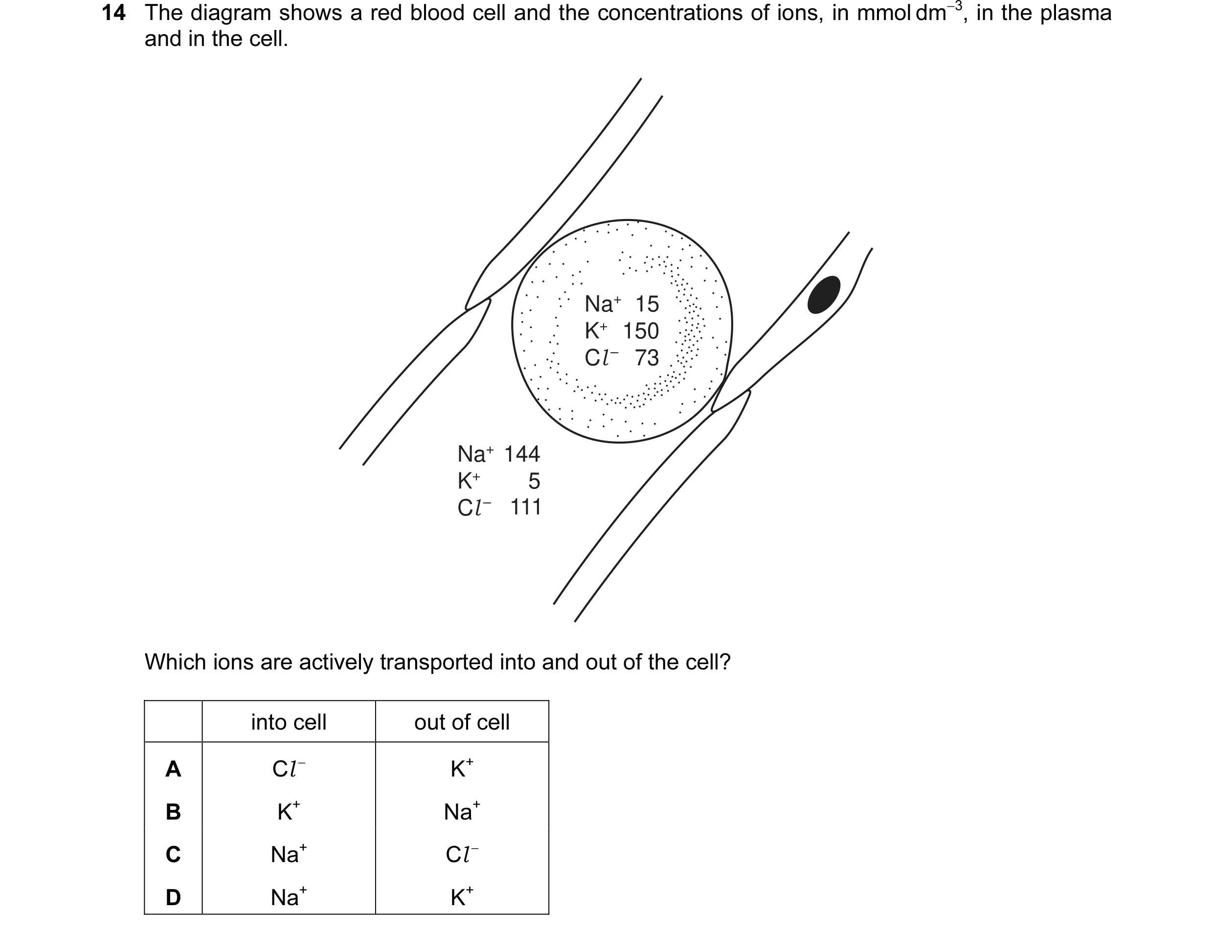 Question 19: The diagram shows a red blood cell and the concentrations of ions, in mmol dm−3, in the plasma and in the cell. Na+ 15 K+ 150 Cl 73 Na+ 144…