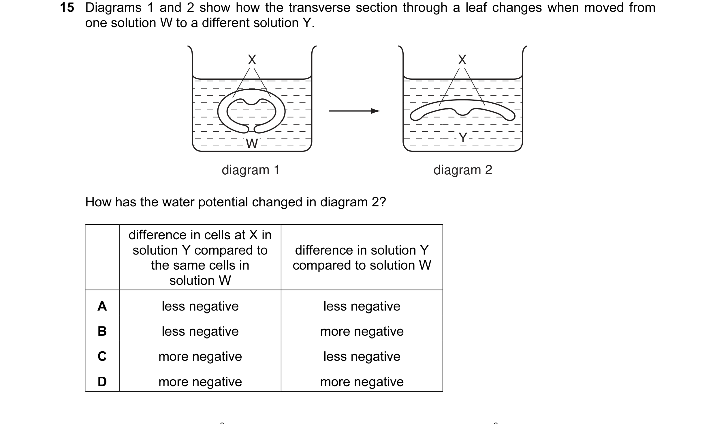 Question 20: Diagrams 1 and 2 show how the transverse section through a leaf changes when moved from one solution W to a different solution Y. X X W Y d…