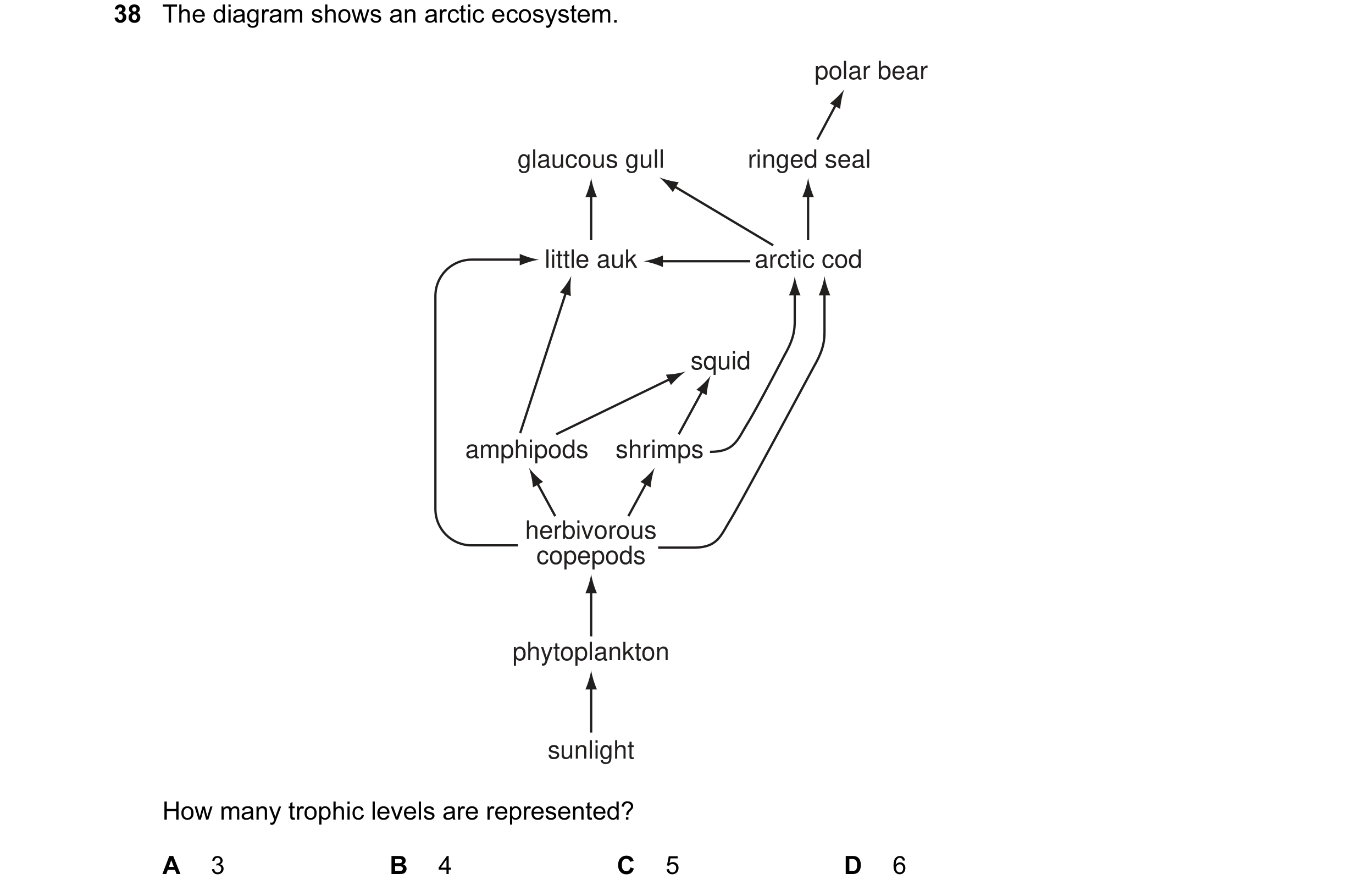 Question 12: The diagram shows an arctic ecosystem. polar bear glaucous gull ringed seal little auk arctic cod squid amphipods shrimps herbivorous copep…