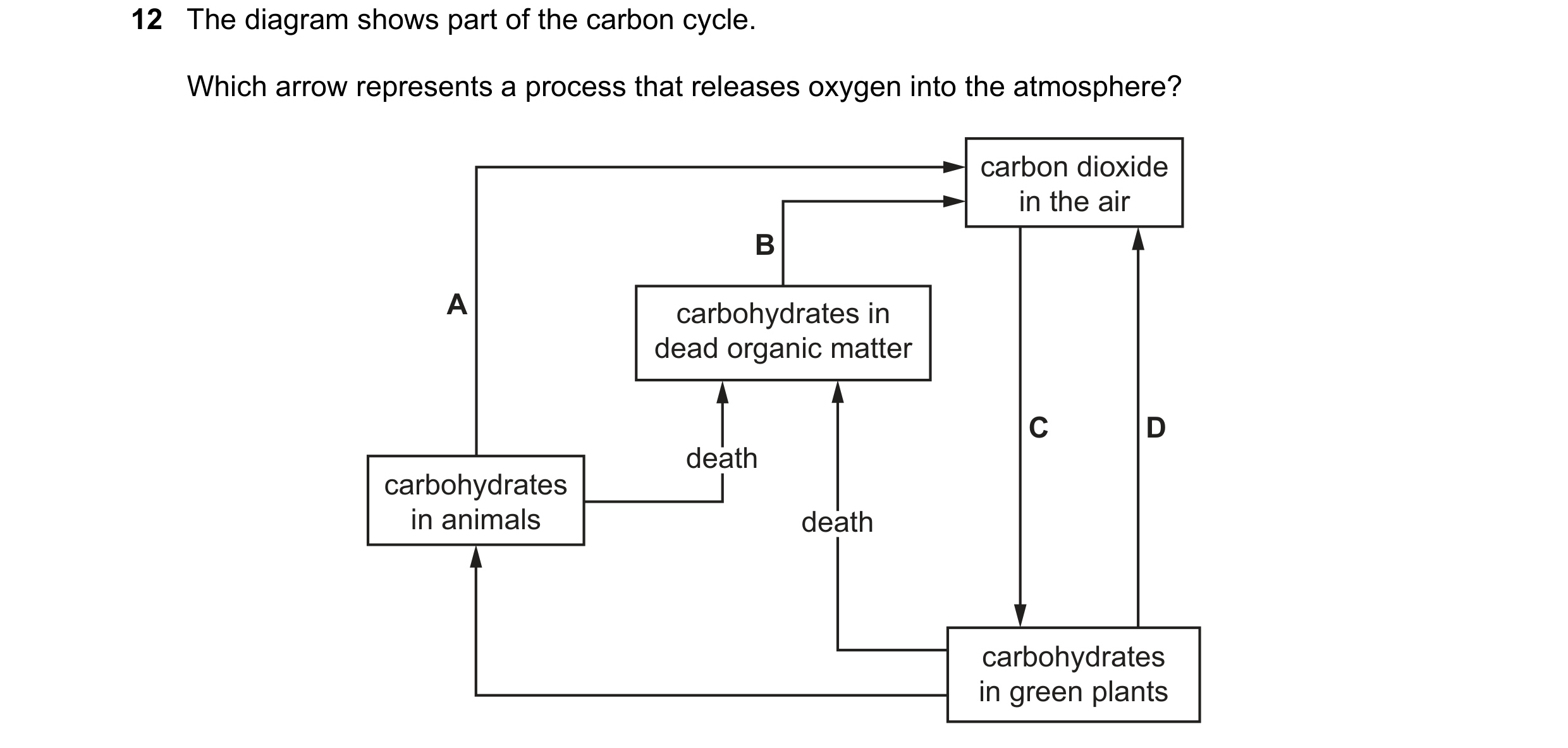 Question 20: The diagram shows part of the carbon cycle. Which arrow represents a process that releases oxygen into the atmosphere? carbon dioxide in th…