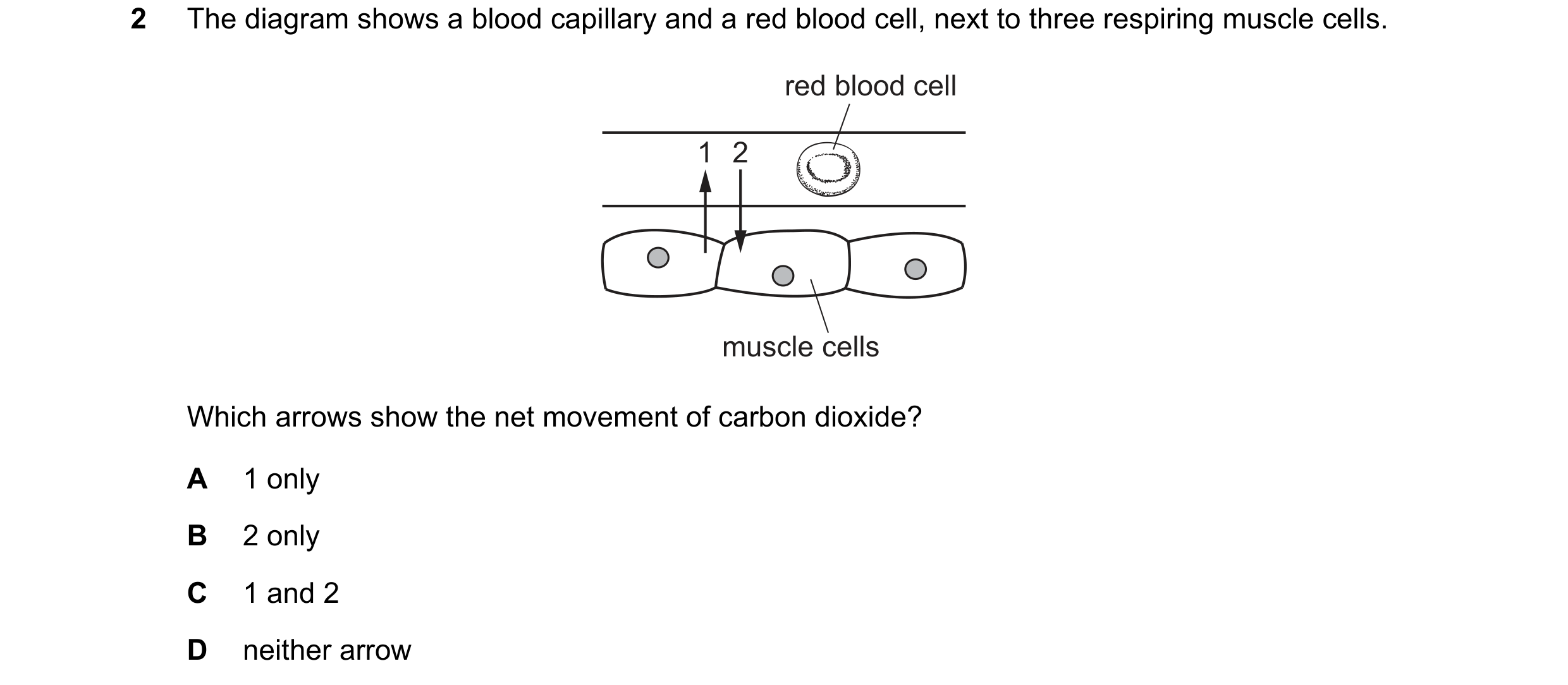 Question 36: The diagram shows a blood capillary and a red blood cell, next to three respiring muscle cells. red blood cell 1 2 muscle cells Which arrow…