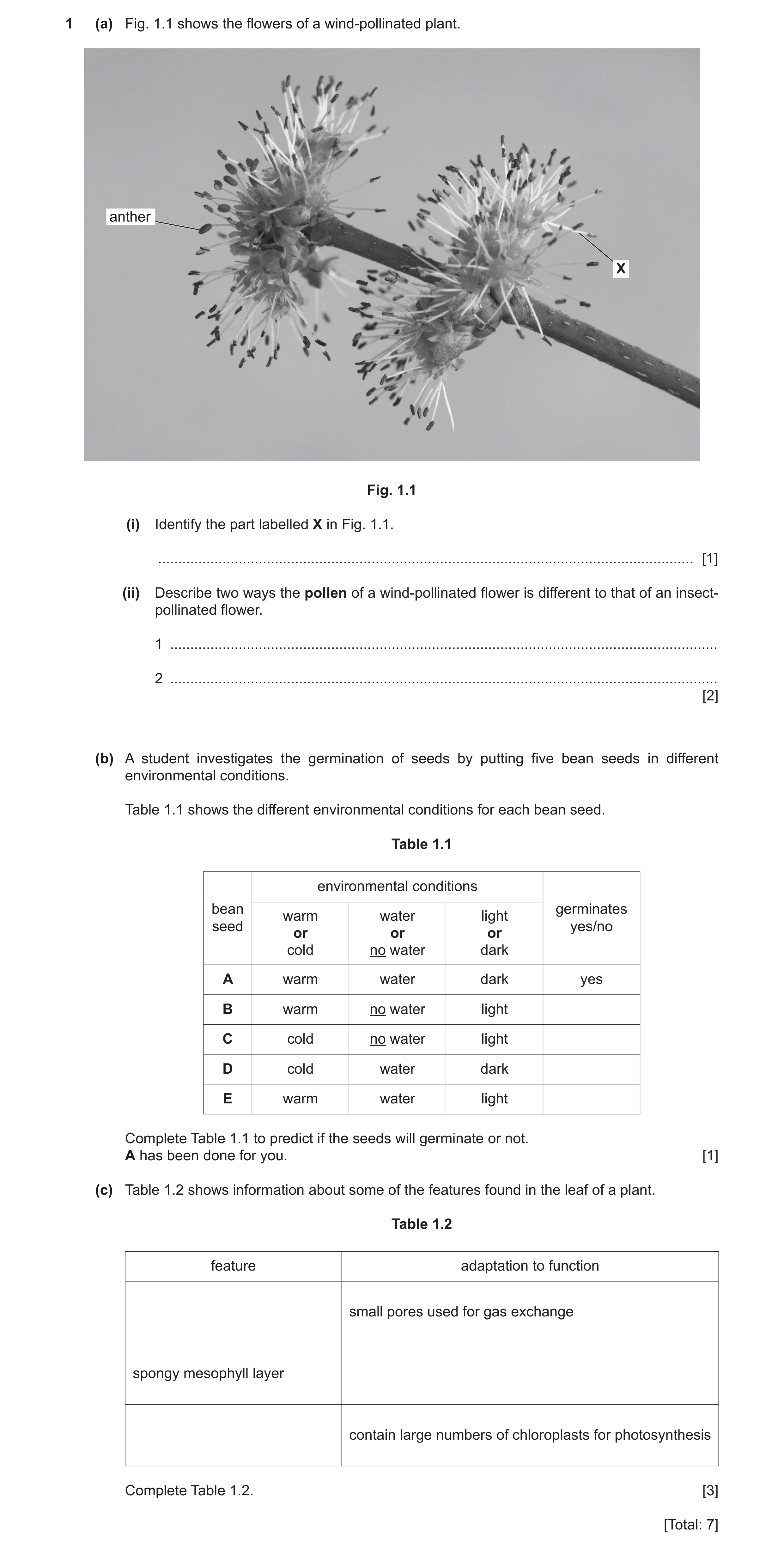 Question 6: (a) Fig. 1.1 shows the flowers of a wind-pollinated plant. antheranther X Fig. 1.1 (i) Identify the part labelled X in Fig. 1.1. ..........…