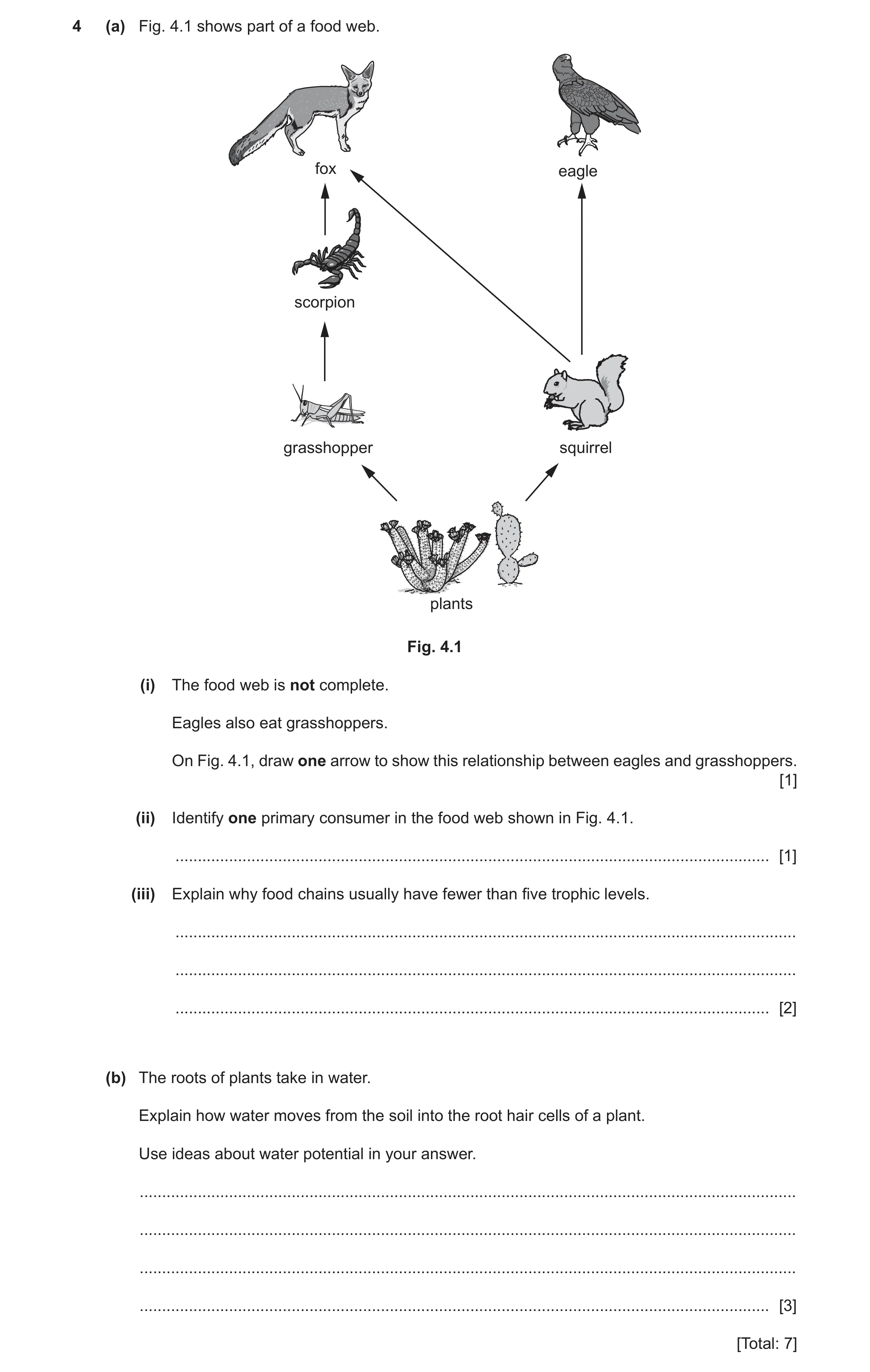 Question 12: (a) Fig. 4.1 shows part of a food web. fox eagle scorpion grasshopper squirrel plants Fig. 4.1 (i) The food web is not complete. Eagles als…