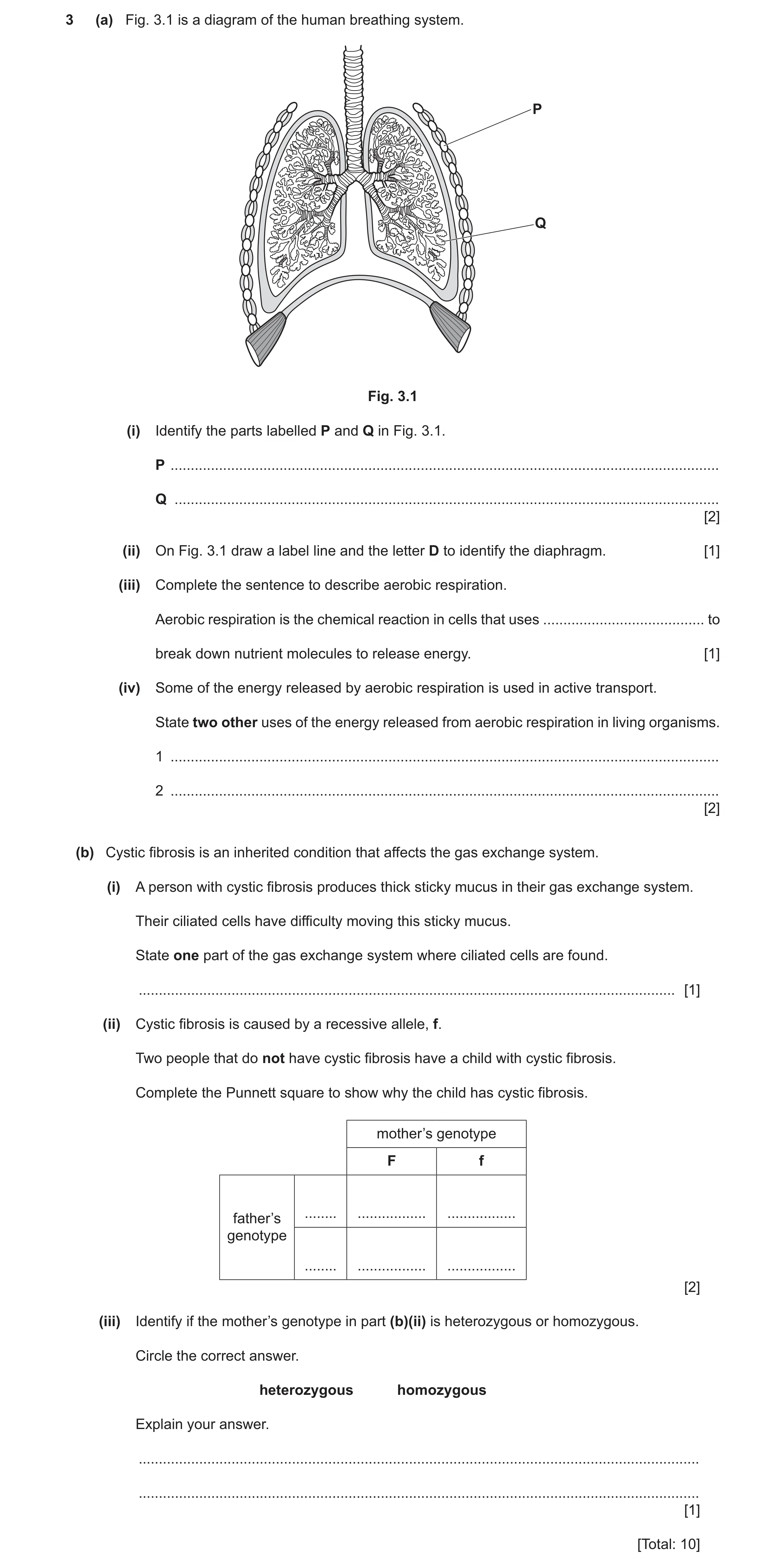 Question 14: (a) Fig. 3.1 is a diagram of the human breathing system. P Q Fig. 3.1 (i) Identify the parts labelled P and Q in Fig. 3.1. P ..............…