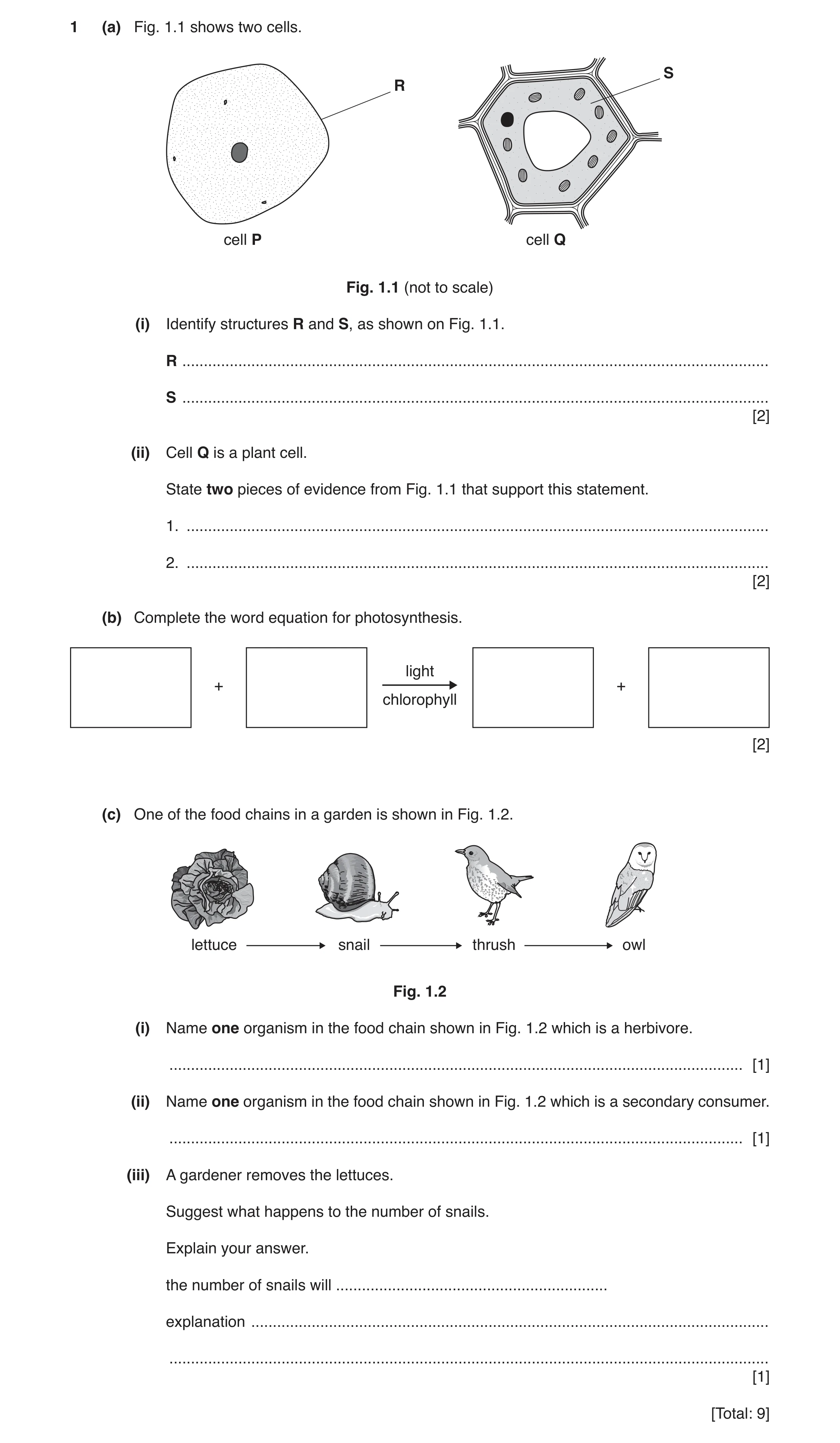 Question 6: (a) Fig. 1.1 shows two cells. S R cell P cell Q Fig. 1.1 (not to scale) (i) Identify structures R and S, as shown on Fig. 1.1. R ..........…