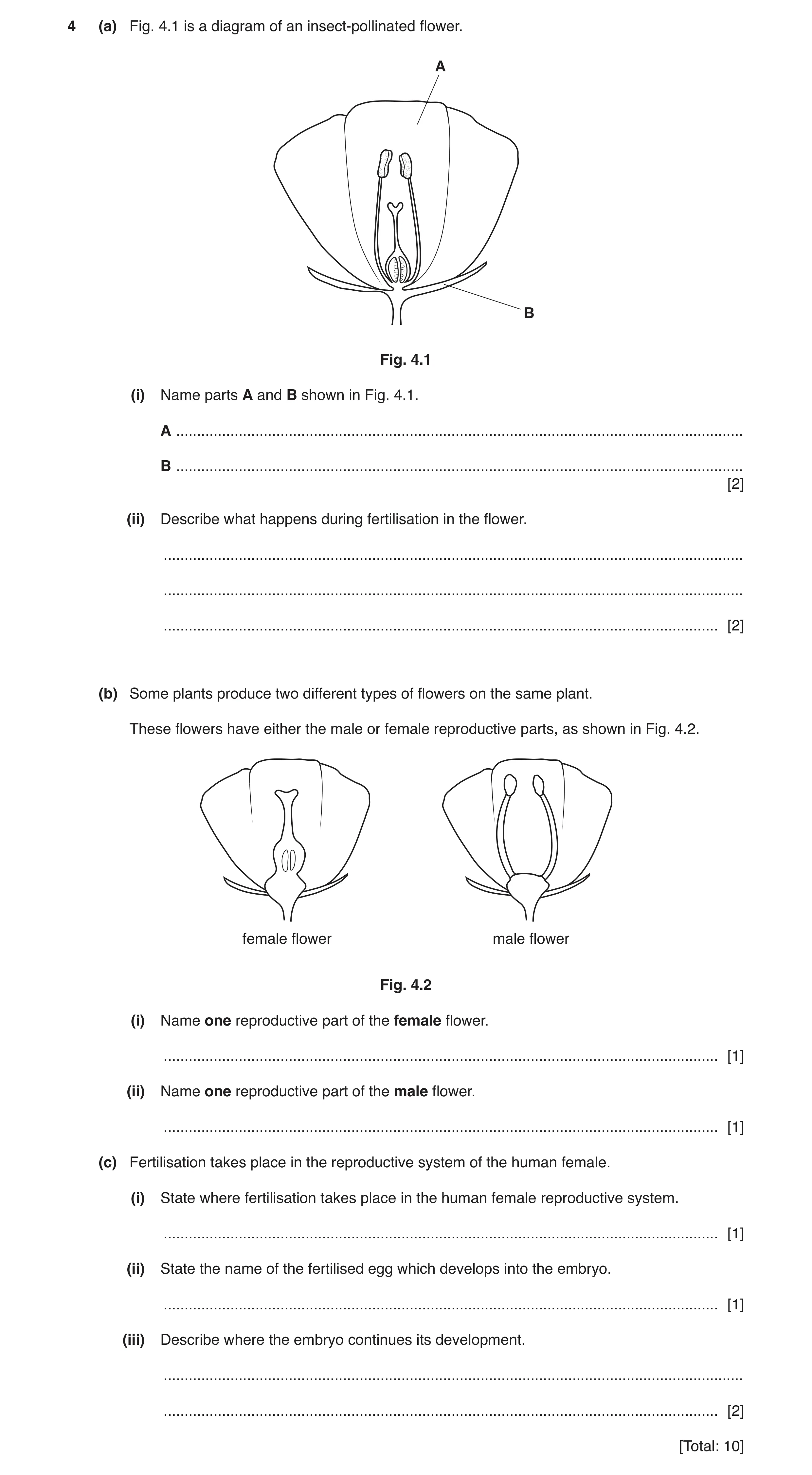 Question 9: (a) Fig. 4.1 is a diagram of an insect‑pollinated flower. A B Fig. 4.1 (i) Name parts A and B shown in Fig. 4.1. A ........................…