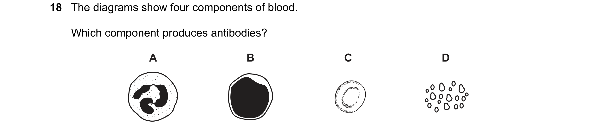 Question 5: The diagrams show four components of blood. Which component produces antibodies? A B C D