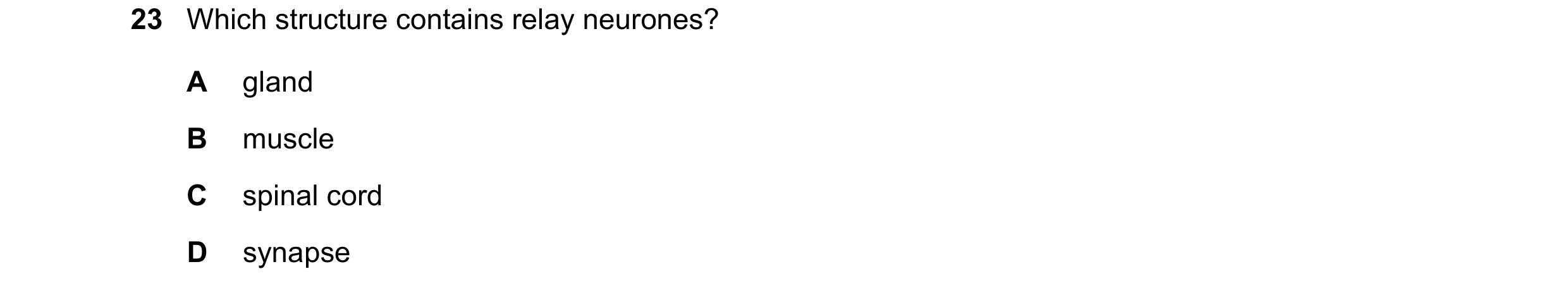 Question 12: Which structure contains relay neurones? A gland B muscle C spinal cord D synapse