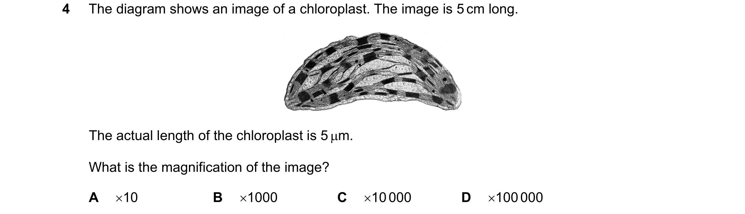 Question 4: The diagram shows an image of a chloroplast. The image is 5 cm long. The actual length of the chloroplast is 5 m. What is the magnificatio…