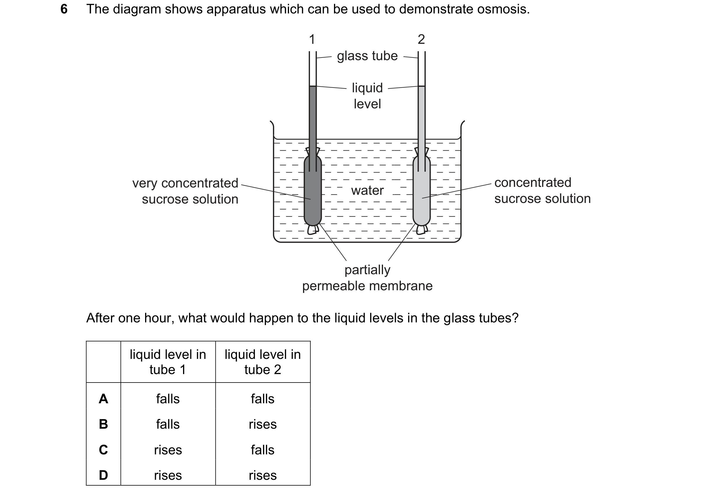 Question 14: The diagram shows apparatus which can be used to demonstrate osmosis. 1 2 glass tube liquid level very concentrated concentrated water sucr…