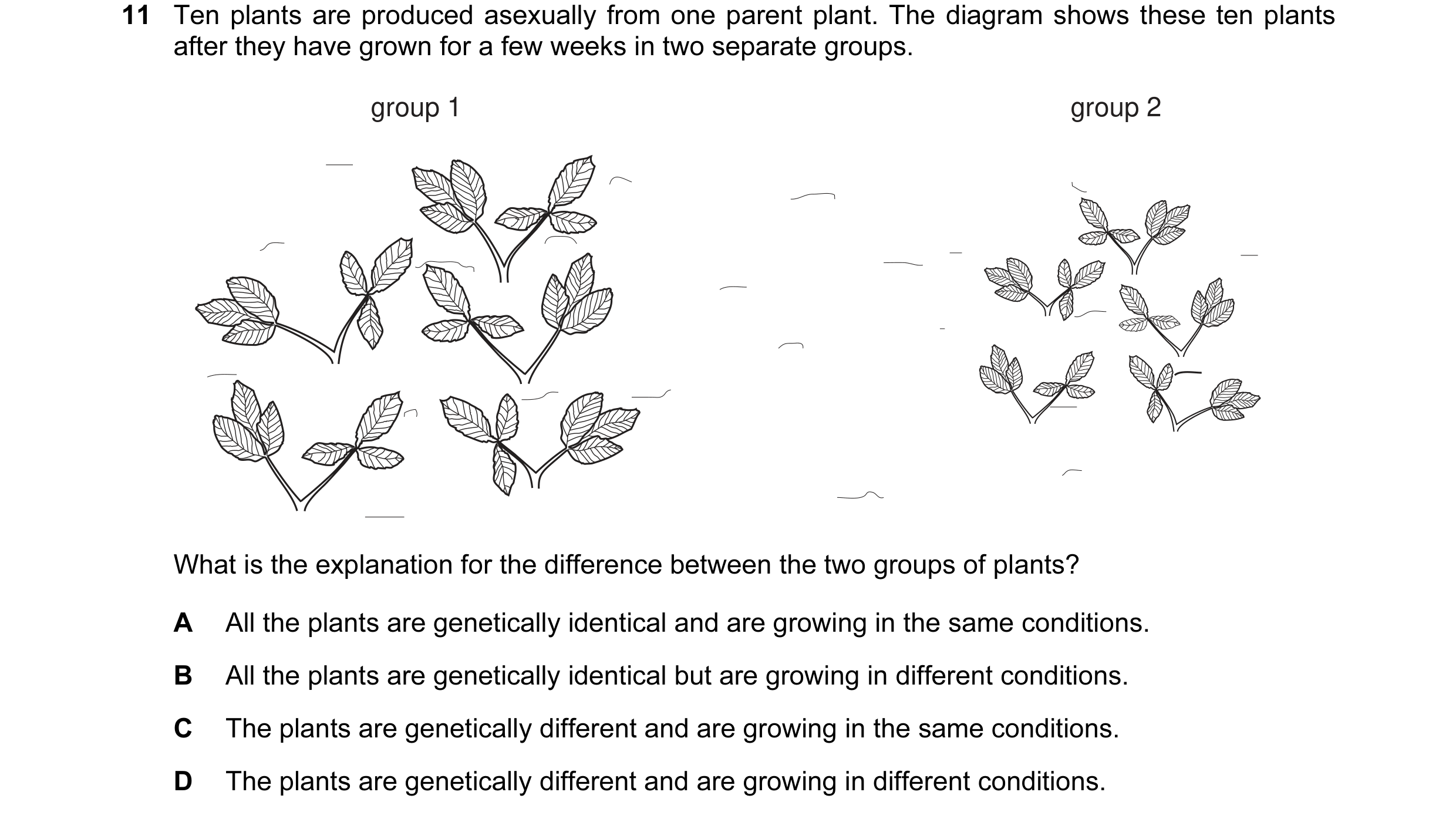 Question 14: Ten plants are produced asexually from one parent plant. The diagram shows these ten plants after they have grown for a few weeks in two se…