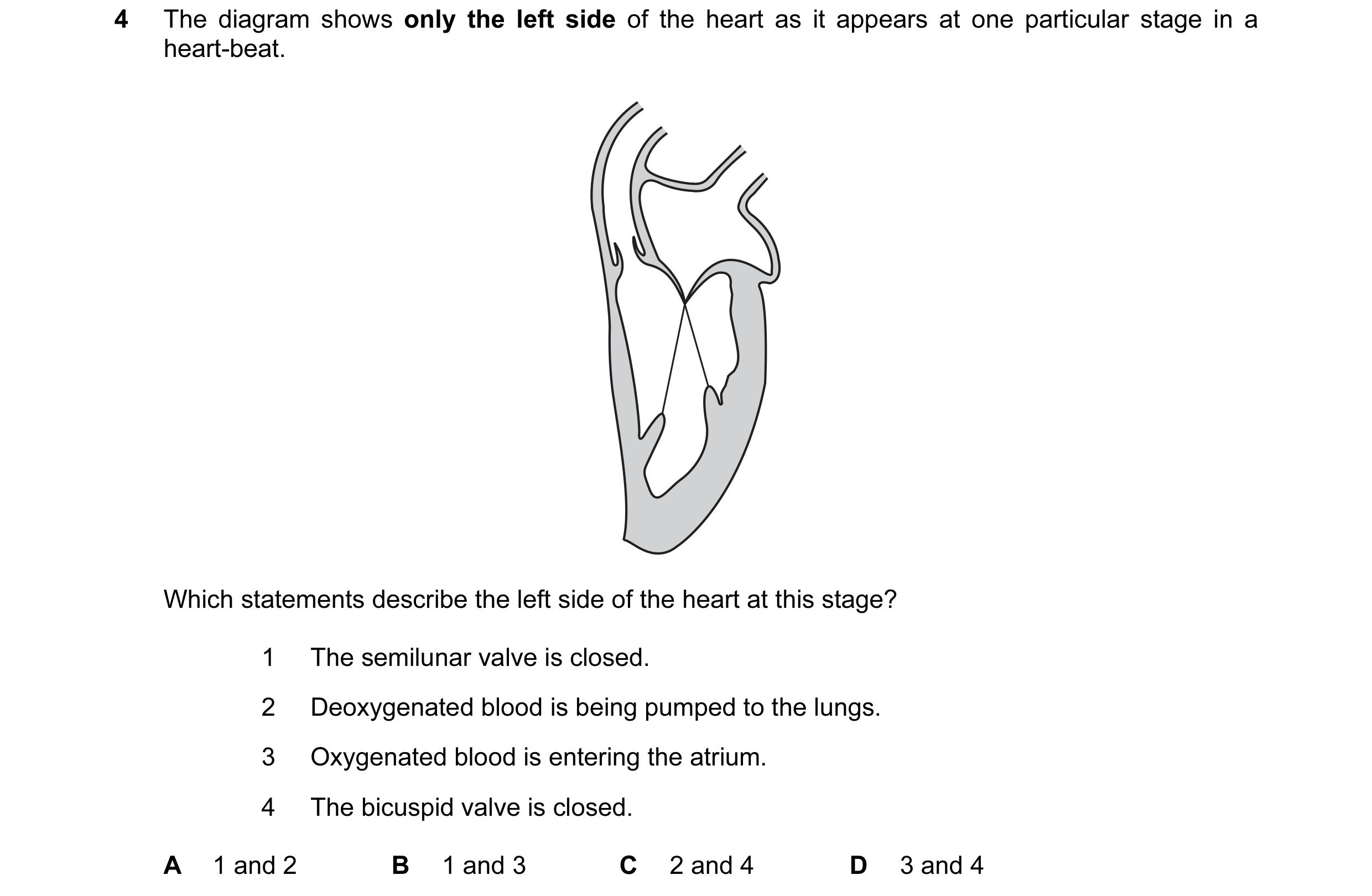 Question 8: The diagram shows only the left side of the heart as it appears at one particular stage in a heart-beat. Which statements describe the left…