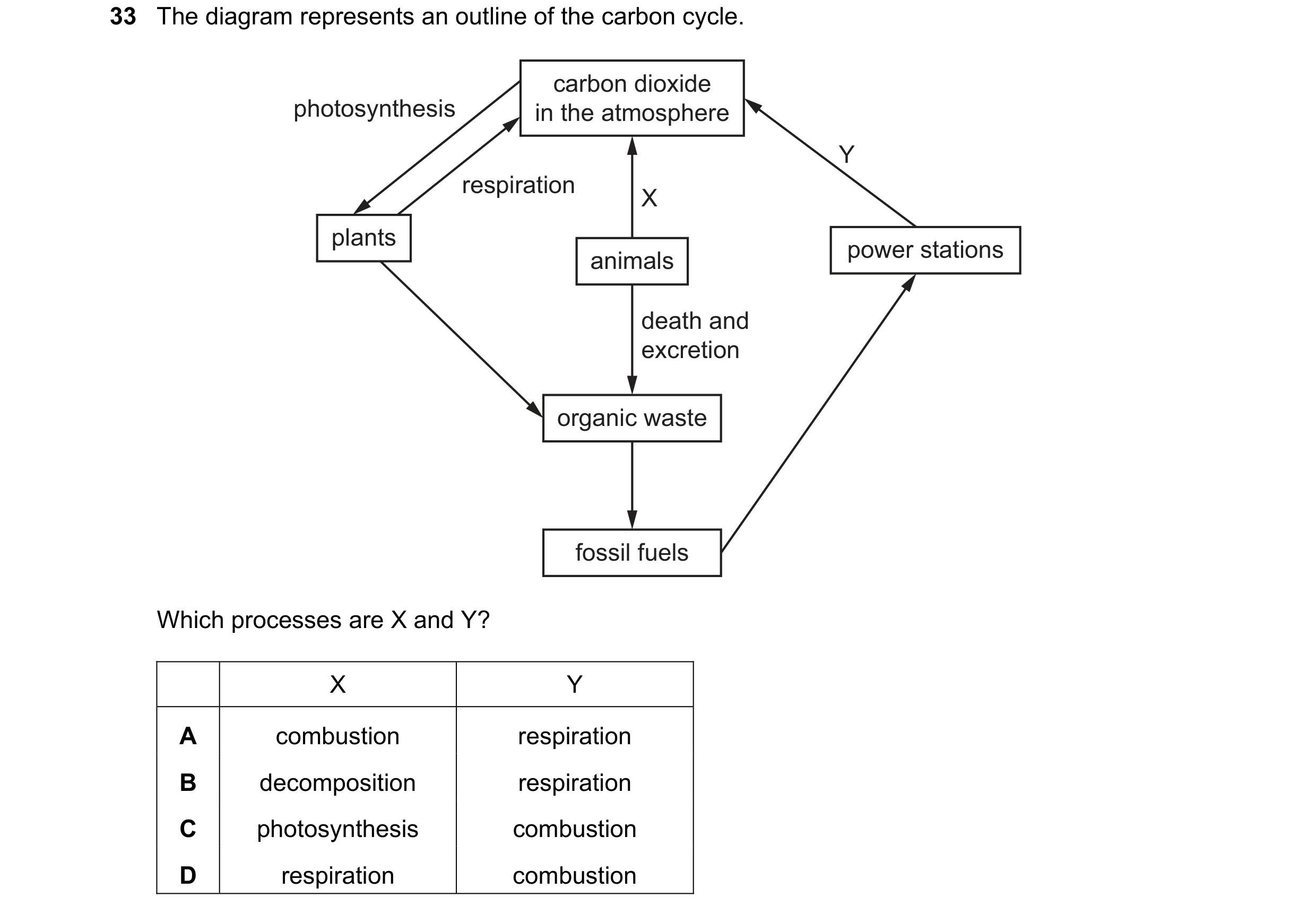 Question 9: The diagram represents an outline of the carbon cycle. carbon dioxide photosynthesis in the atmosphere Y respiration X plants animals power…