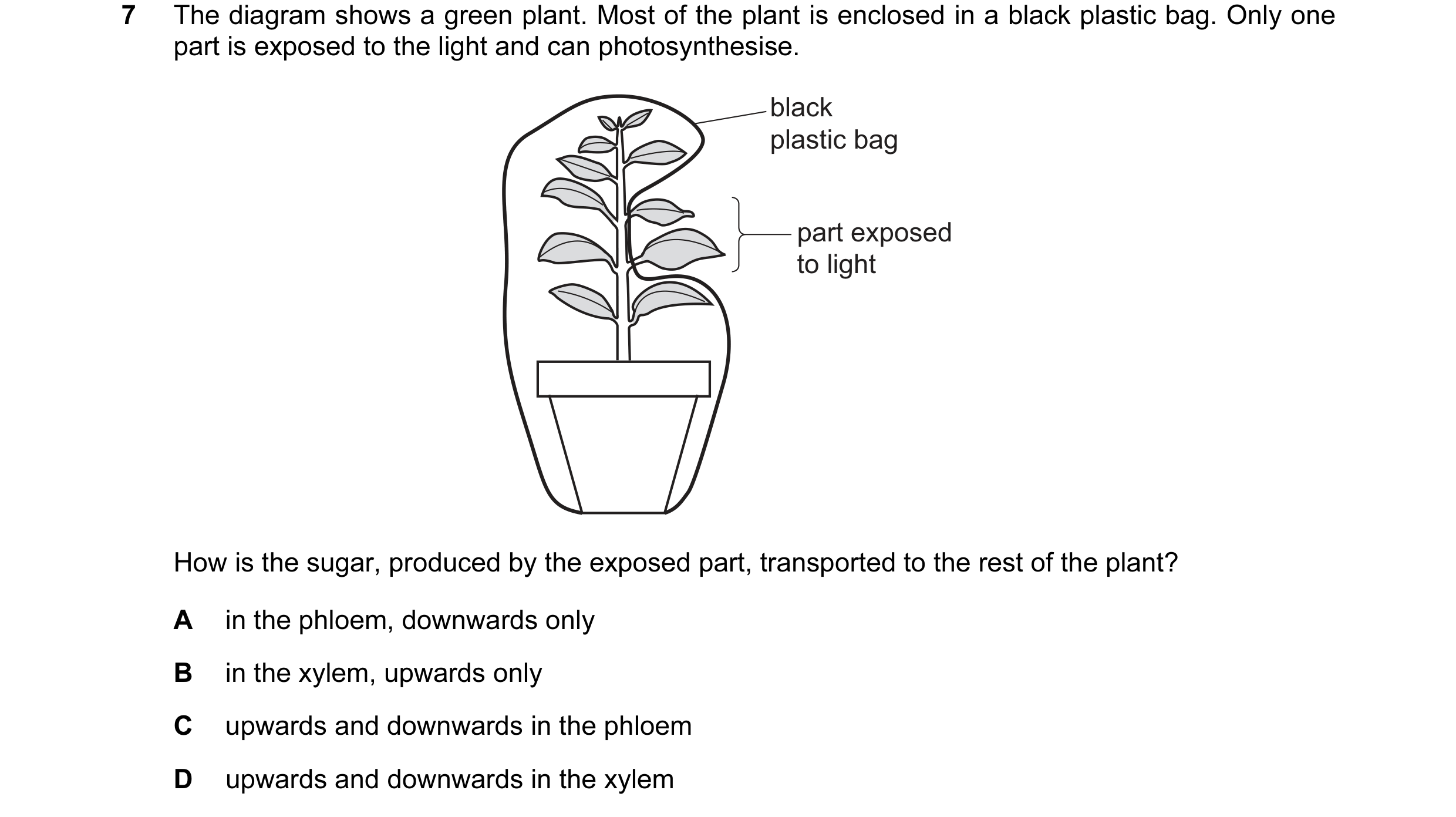Question 9: The diagram shows a green plant. Most of the plant is enclosed in a black plastic bag. Only one part is exposed to the light and can photos…