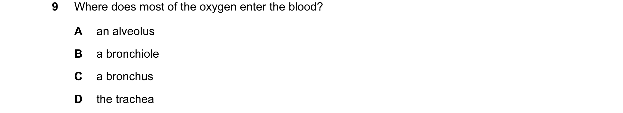 Question 36: Where does most of the oxygen enter the blood? A an alveolus B a bronchiole C a bronchus D the trachea