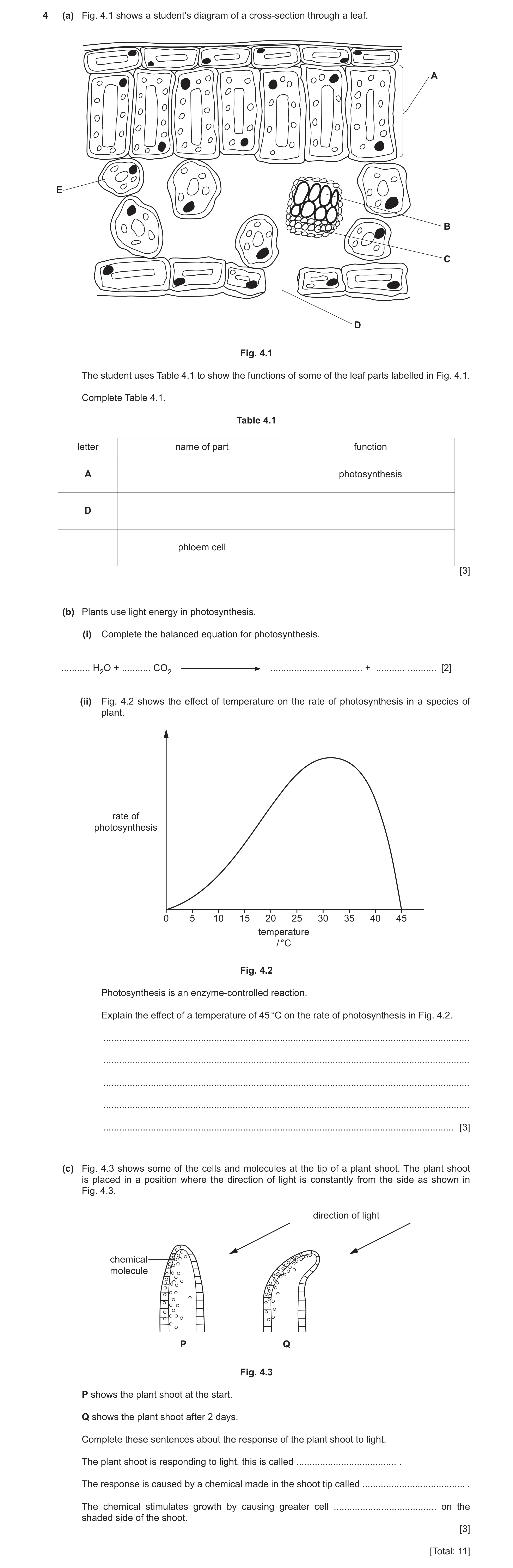 Question 9: (a) Fig. 4.1 shows a student’s diagram of a cross-section through a leaf. A E B C D Fig. 4.1 The student uses Table 4.1 to show the functio…