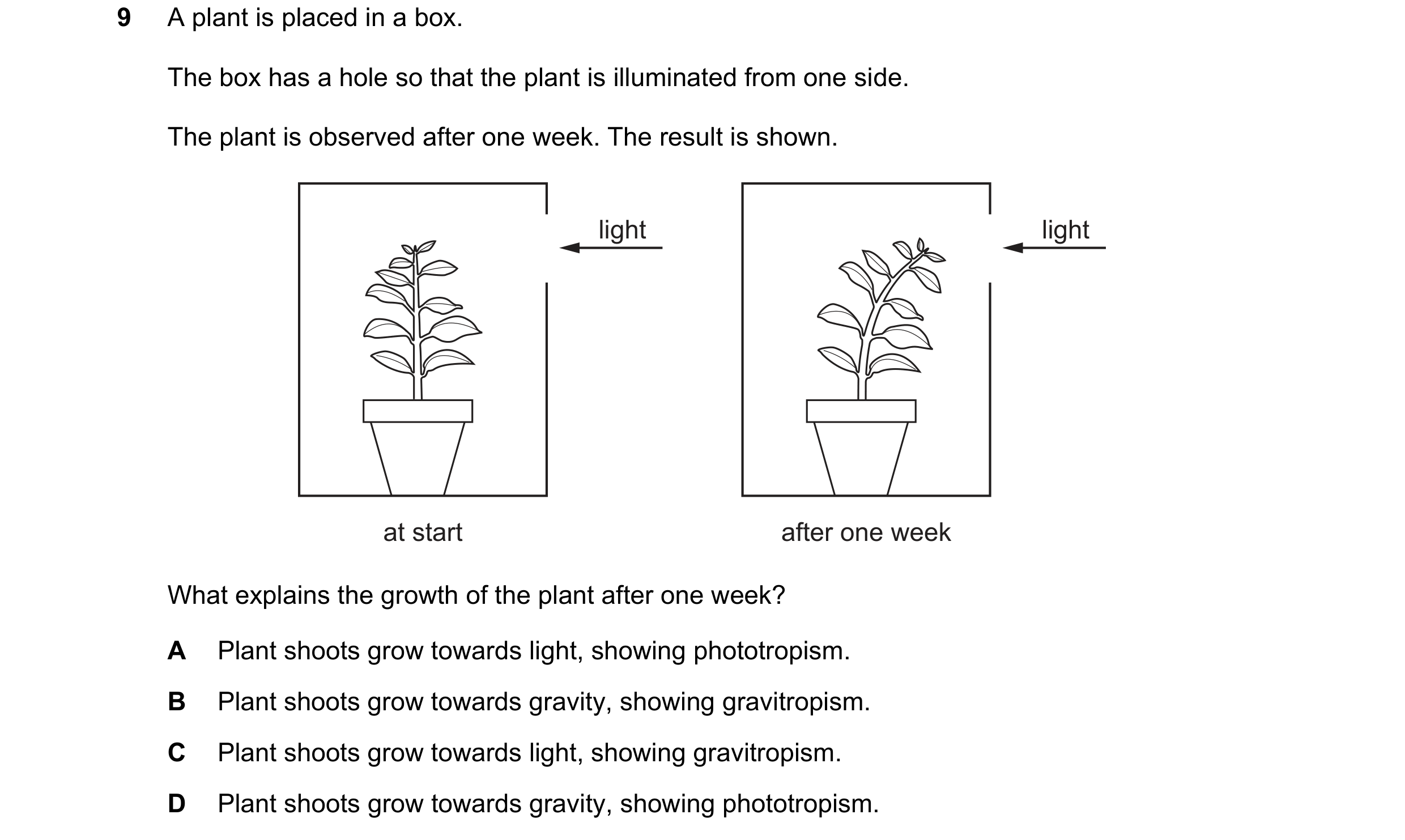 Question 75: A plant is placed in a box. The box has a hole so that the plant is illuminated from one side. The plant is observed after one week. The re…