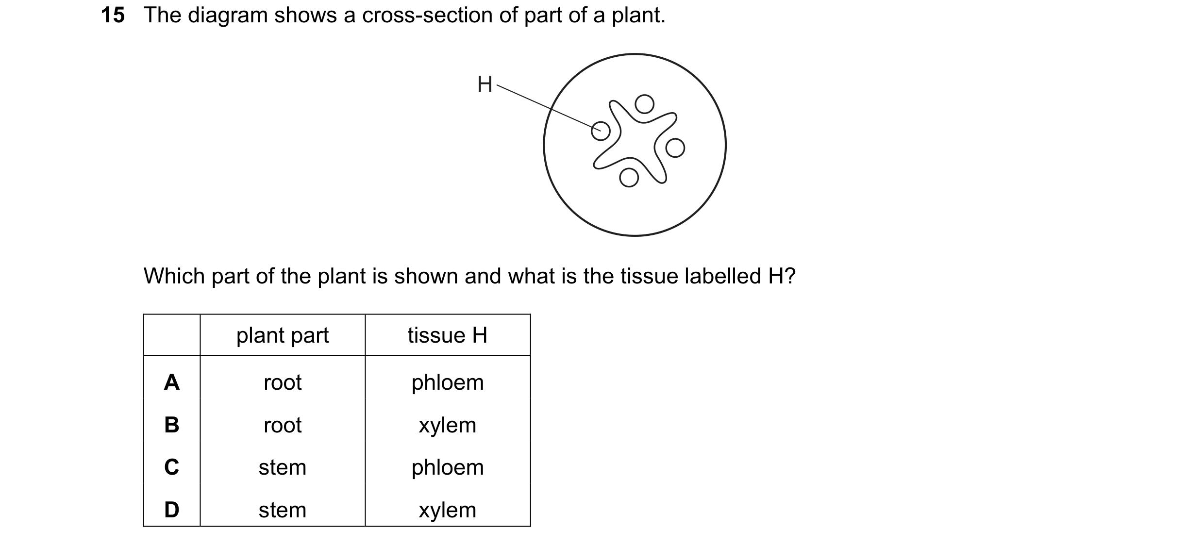 Question 12: The diagram shows a cross-section of part of a plant. H Which part of the plant is shown and what is the tissue labelled H? plant part tiss…