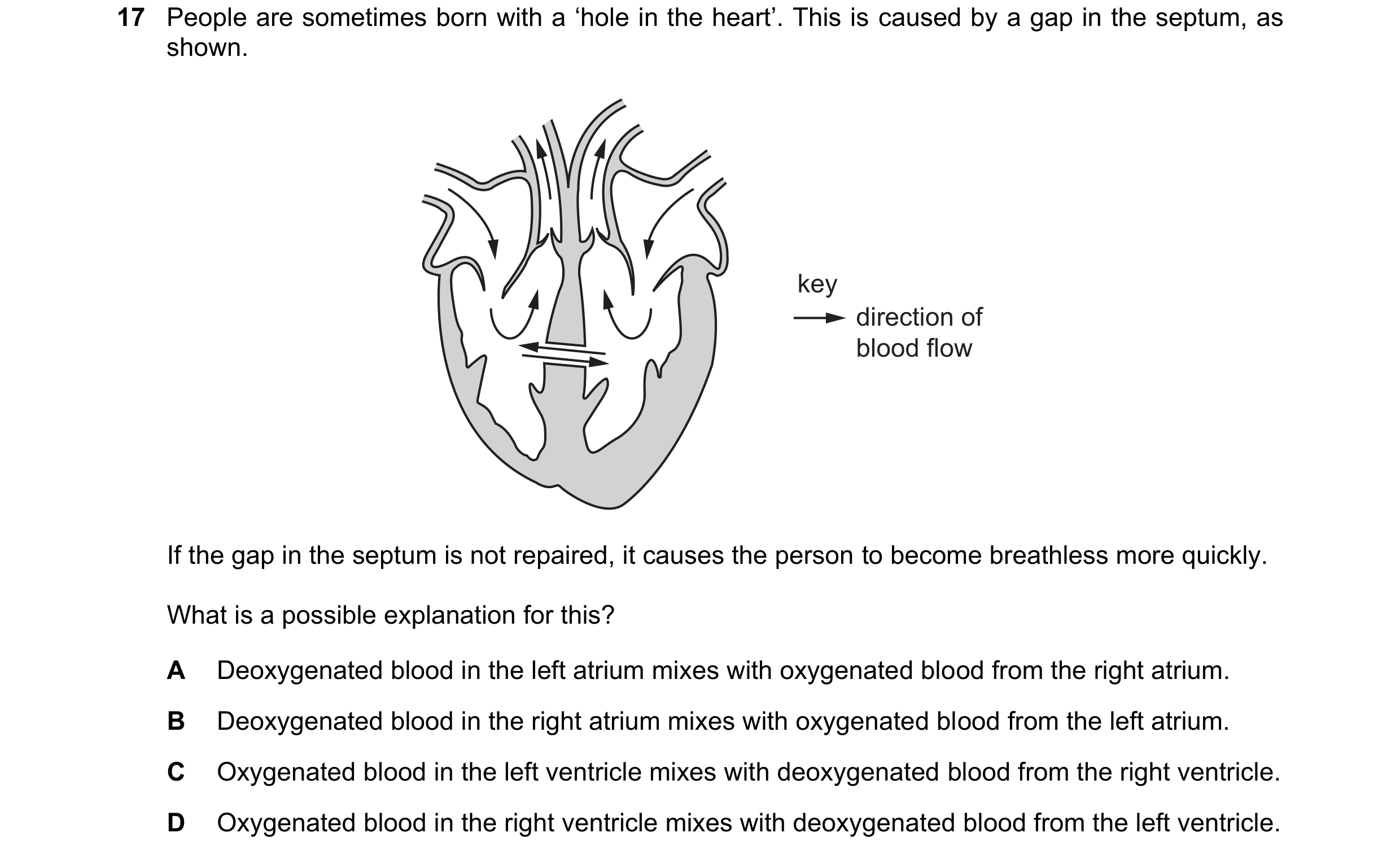 Question 11: People are sometimes born with a ‘hole in the heart’. This is caused by a gap in the septum, as shown. key direction of blood flow If the g…