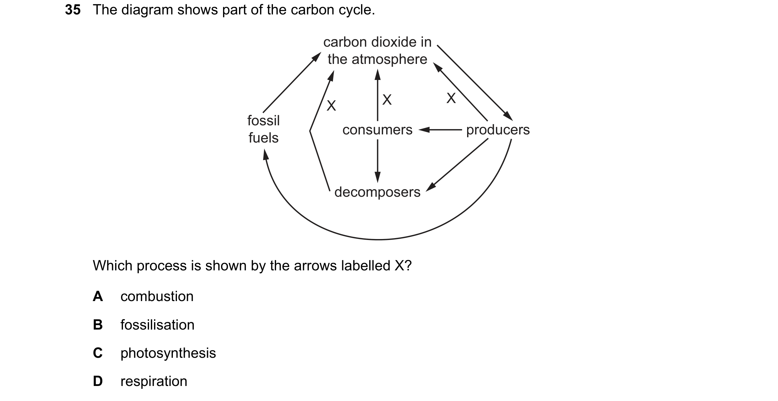 Question 10: The diagram shows part of the carbon cycle. carbon dioxide in the atmosphere X X X fossil consumers producers fuels decomposers Which proce…