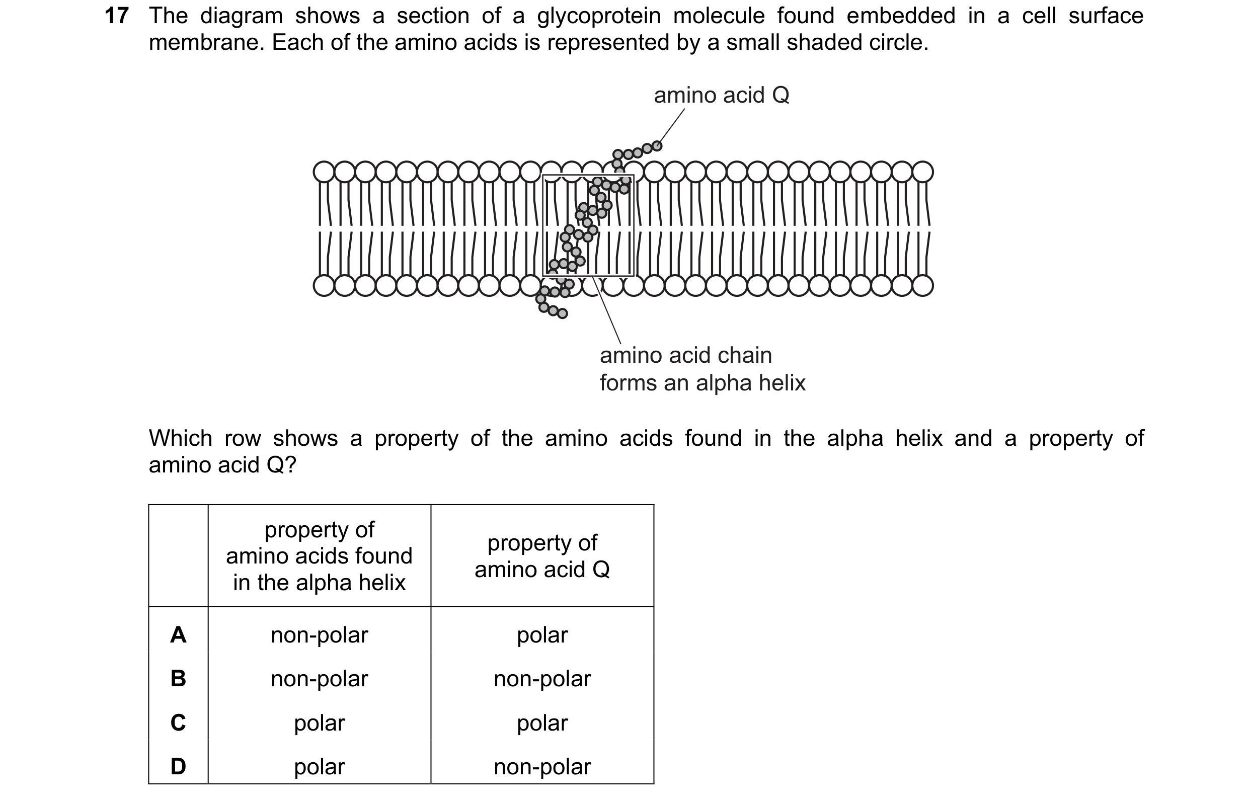 Question 207: The diagram shows a section of a glycoprotein molecule found embedded in a cell surface membrane. Each of the amino acids is represented by…