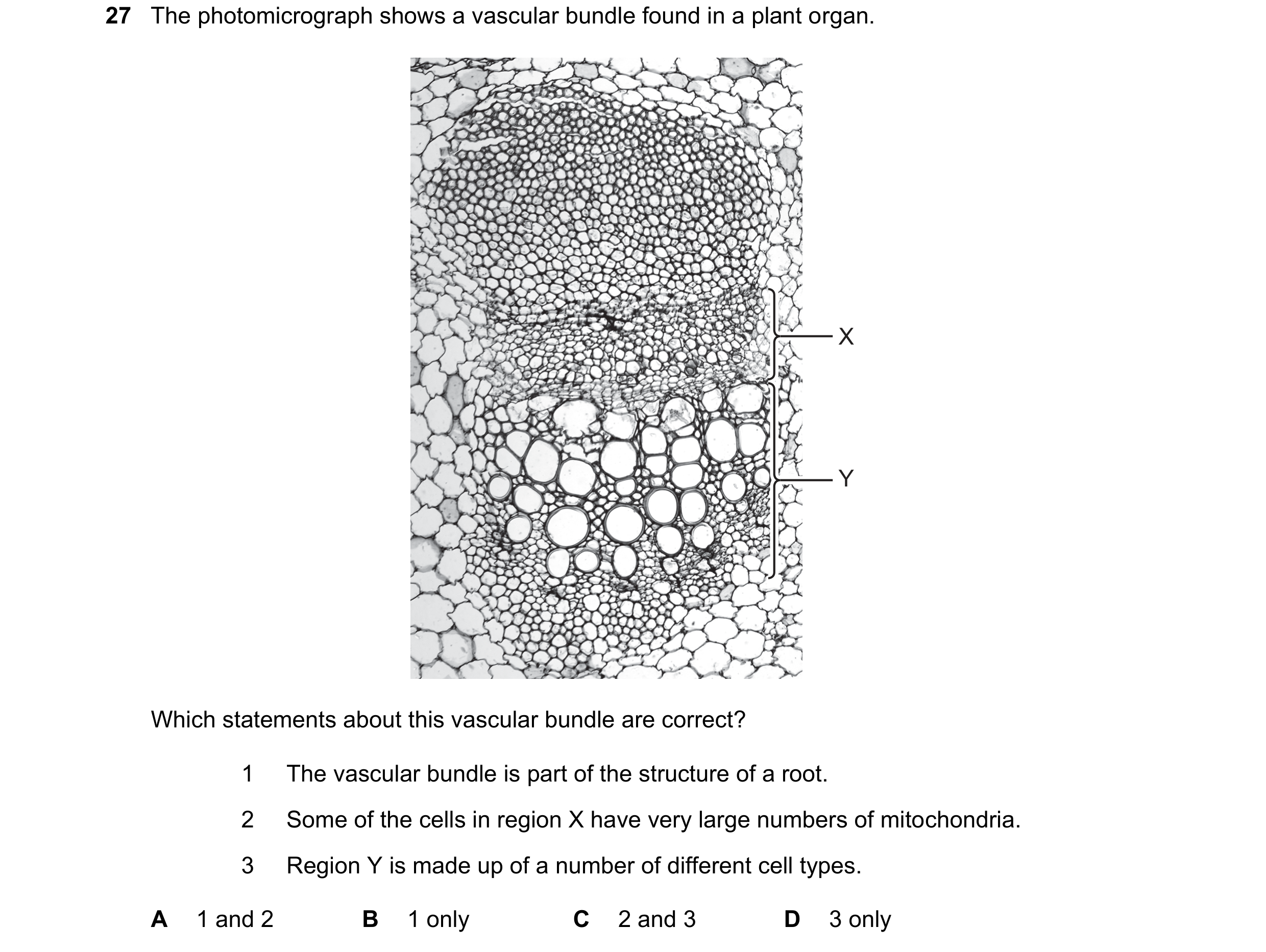 Question 91: The photomicrograph shows a vascular bundle found in a plant organ. X Y Which statements about this vascular bundle are correct? 1 The vasc…