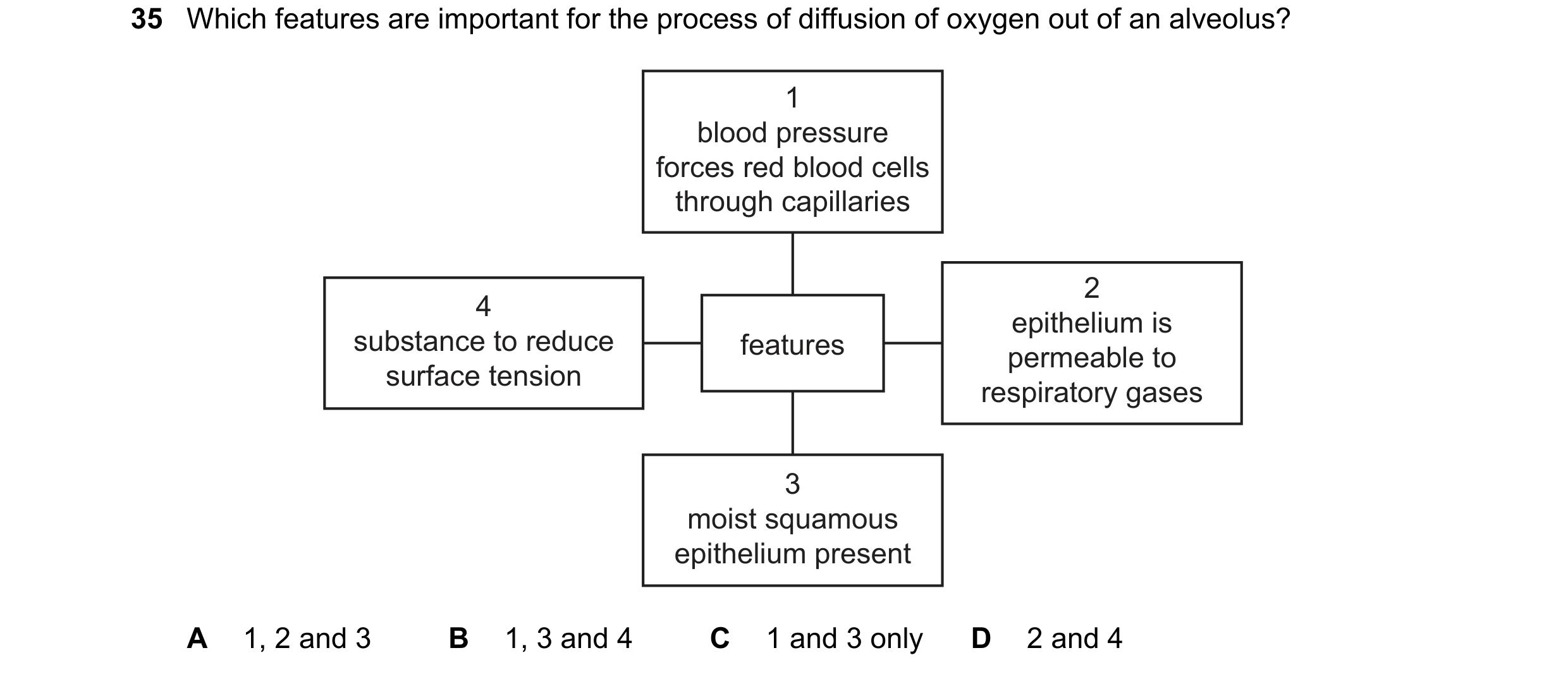 Question 219: Which features are important for the process of diffusion of oxygen out of an alveolus? 1 blood pressure forces red blood cells through cap…