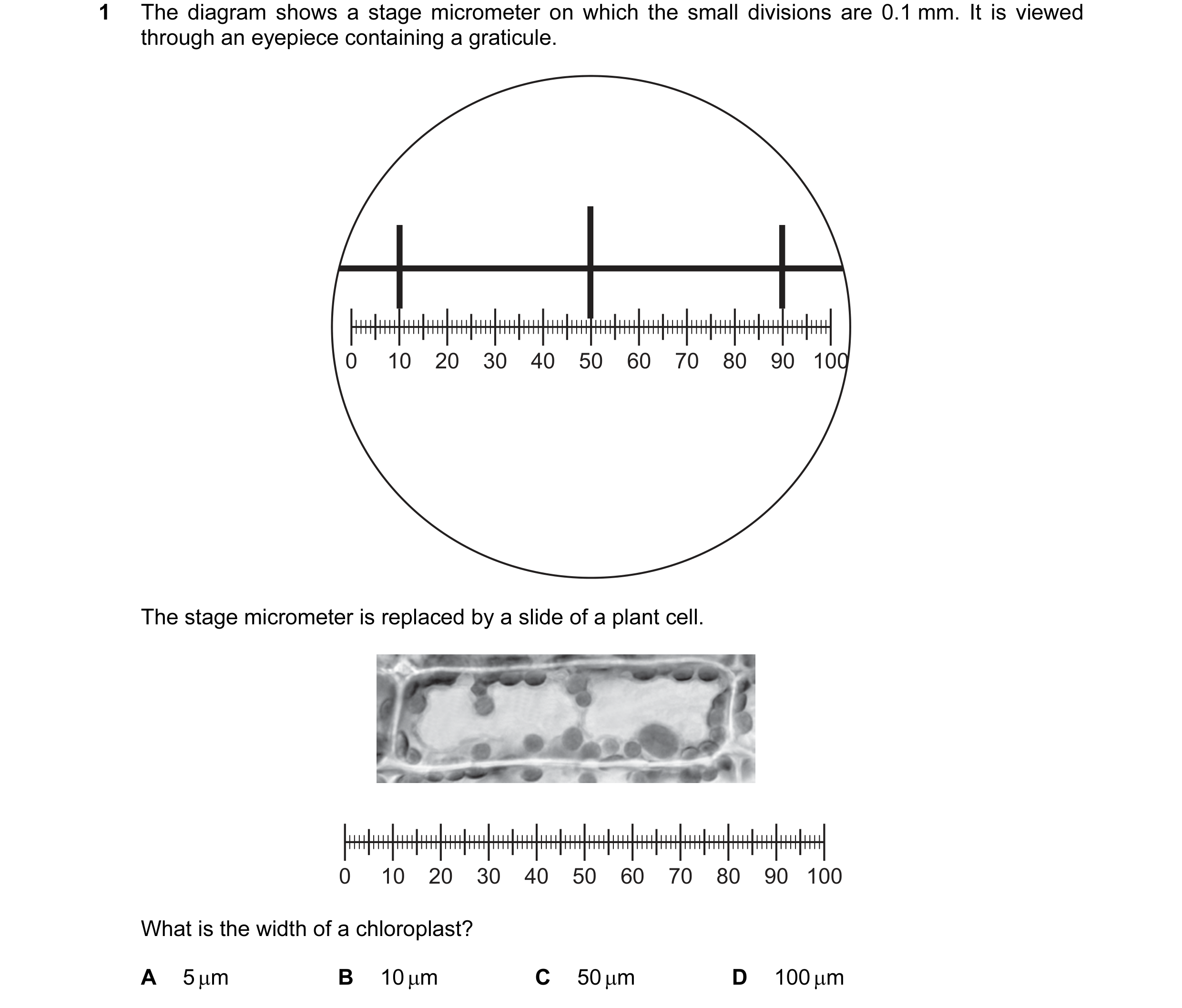 Question 6: The diagram shows a stage micrometer on which the small divisions are 0.1 mm. It is viewed through an eyepiece containing a graticule. 0 10…