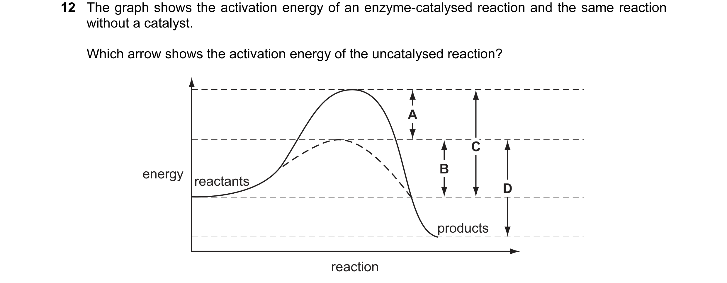 Question 2: The graph shows the activation energy of an enzyme-catalysed reaction and the same reaction without a catalyst. Which arrow shows the activ…