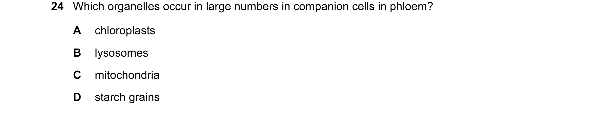 Question 1: Which organelles occur in large numbers in companion cells in phloem? A chloroplasts B lysosomes C mitochondria D starch grains
