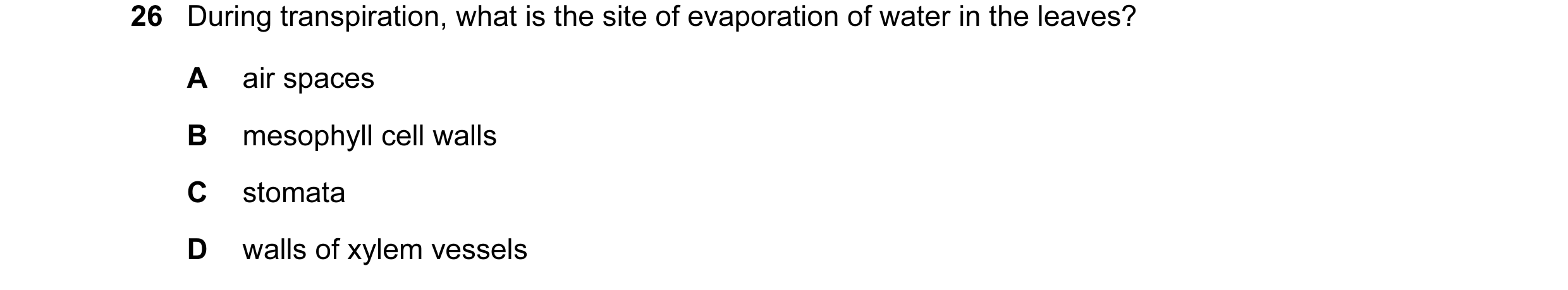 Question 7: During transpiration, what is the site of evaporation of water in the leaves? A air spaces B mesophyll cell walls C stomata D walls of xyle…
