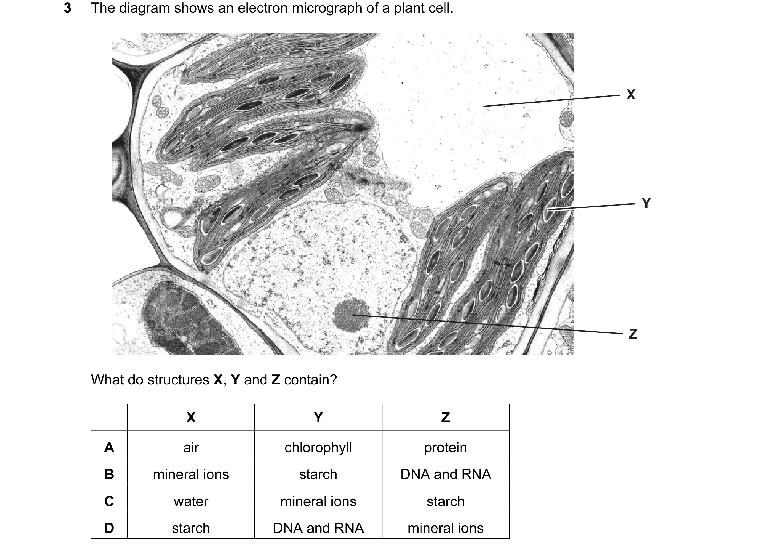 Question 9: The diagram shows an electron micrograph of a plant cell. X Y Z What do structures X, Y and Z contain? X Y Z A air chlorophyll protein B mi…