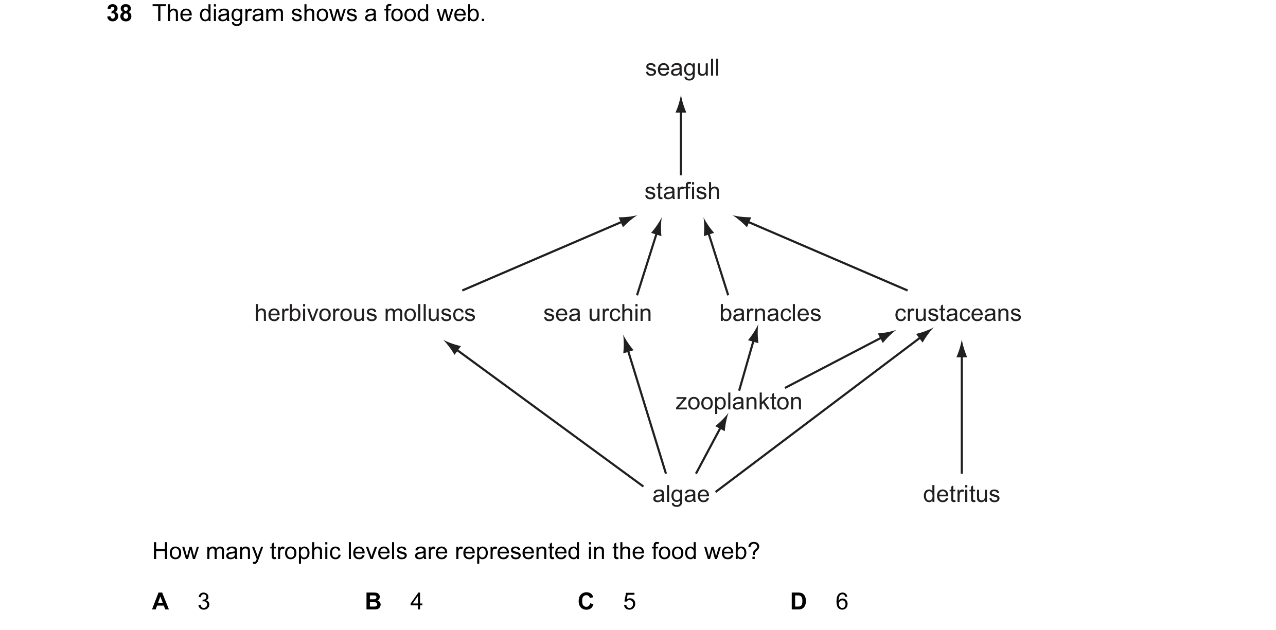 Question 5: The diagram shows a food web. seagull starfish herbivorous molluscs sea urchin barnacles crustaceans zooplankton algae detritus How many tr…