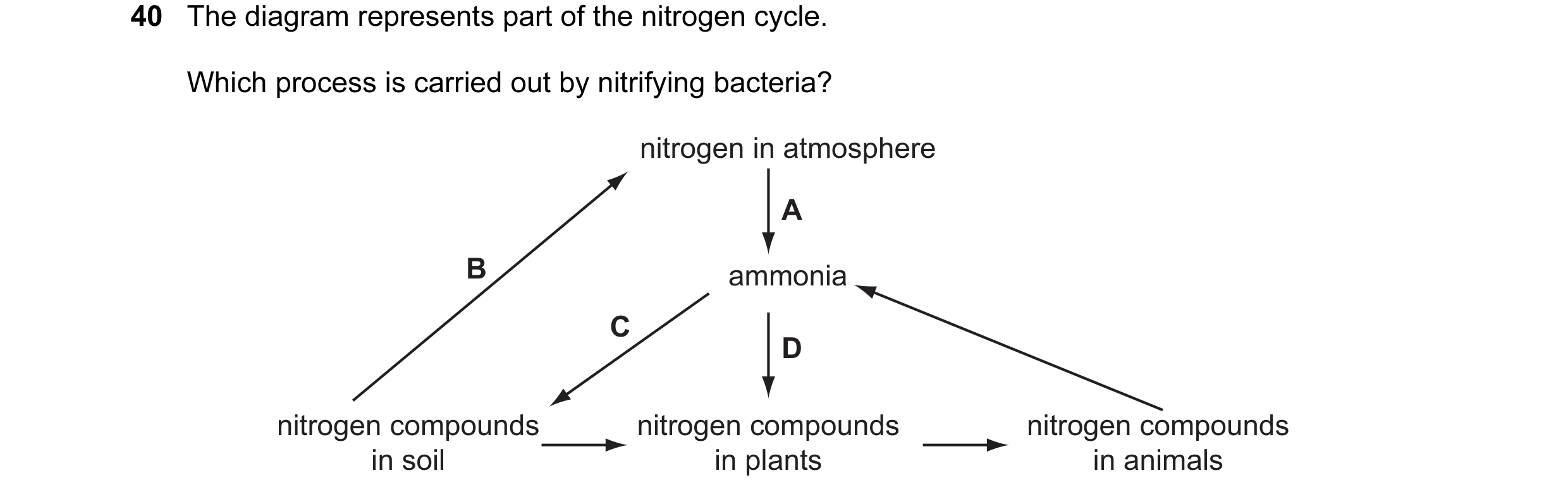 Question 2: The diagram represents part of the nitrogen cycle. Which process is carried out by nitrifying bacteria? nitrogen in atmosphere A B ammonia …