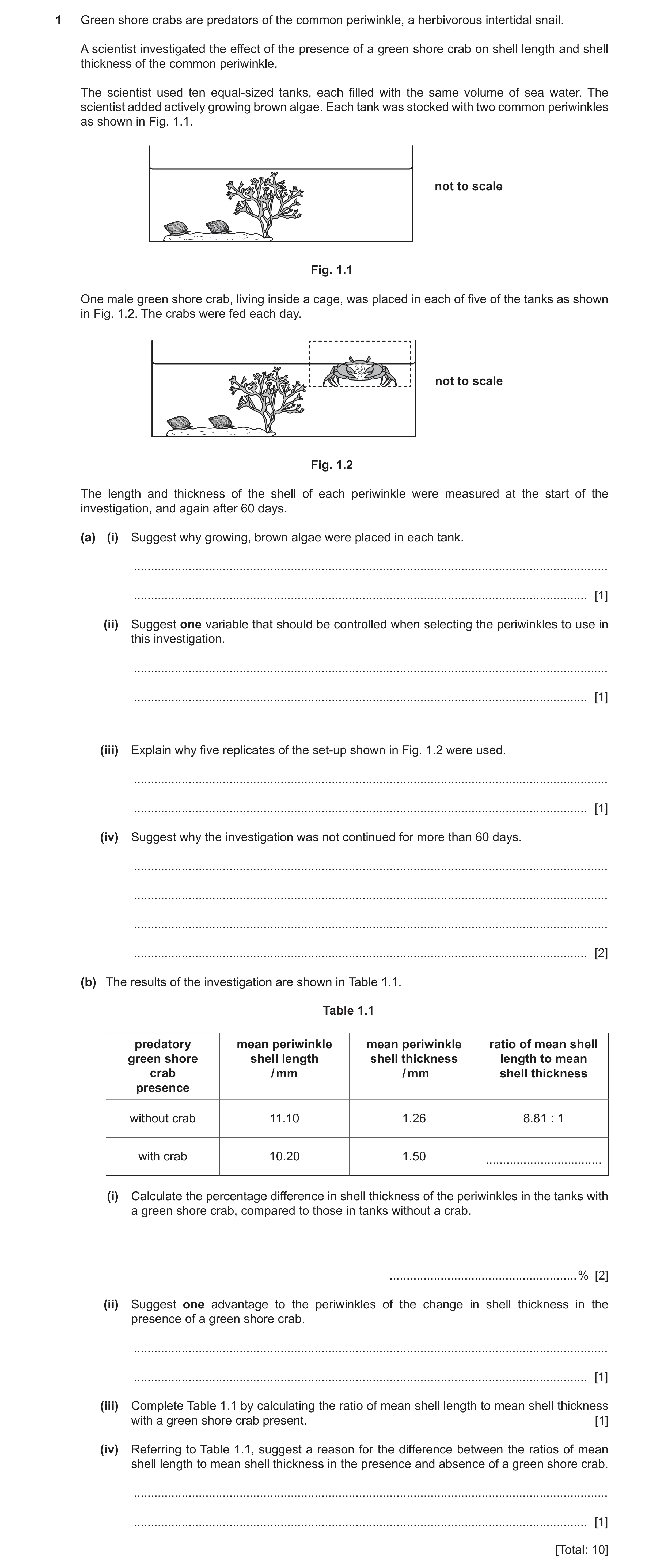 Question 14: Green shore crabs are predators of the common periwinkle, a herbivorous intertidal snail. A scientist investigated the effect of the presen…