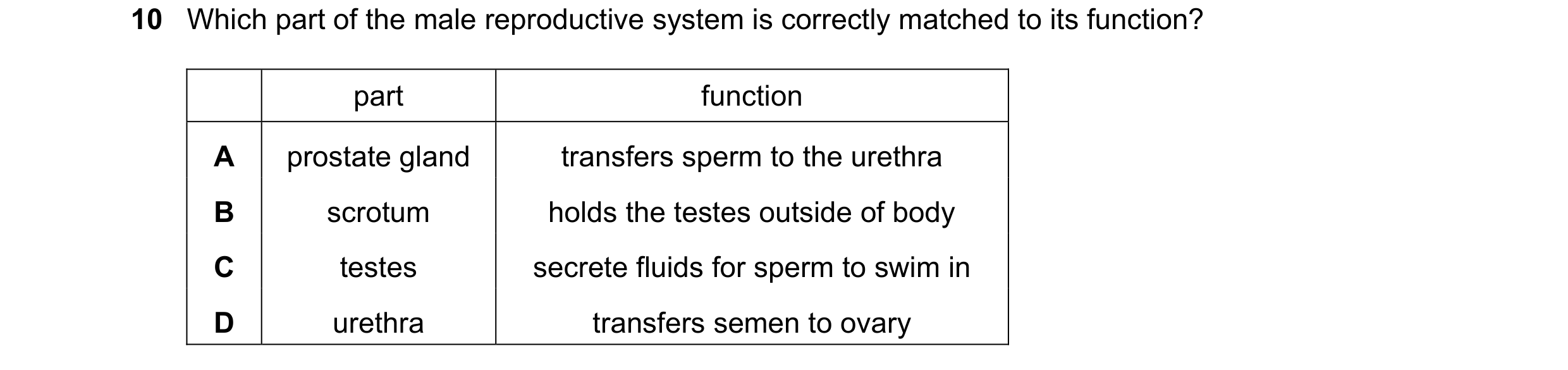 Question 62: Which part of the male reproductive system is correctly matched to its function? part function A prostate gland transfers sperm to the uret…