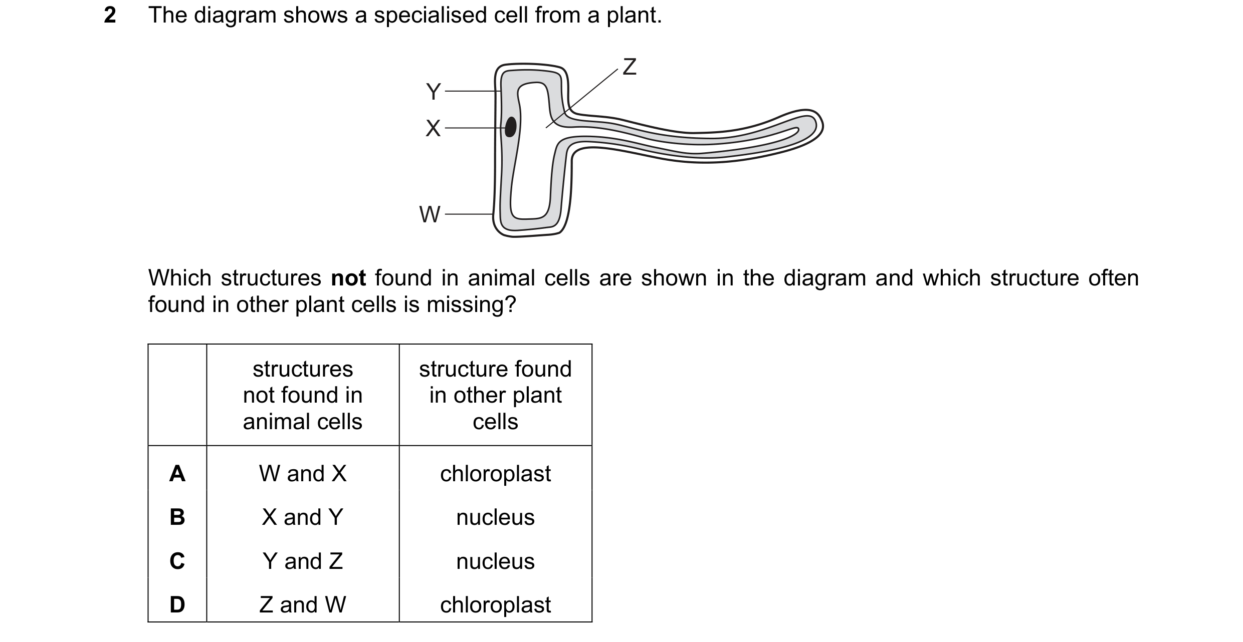 Question 6: The diagram shows a specialised cell from a plant. Z Y X W Which structures not found in animal cells are shown in the diagram and which st…