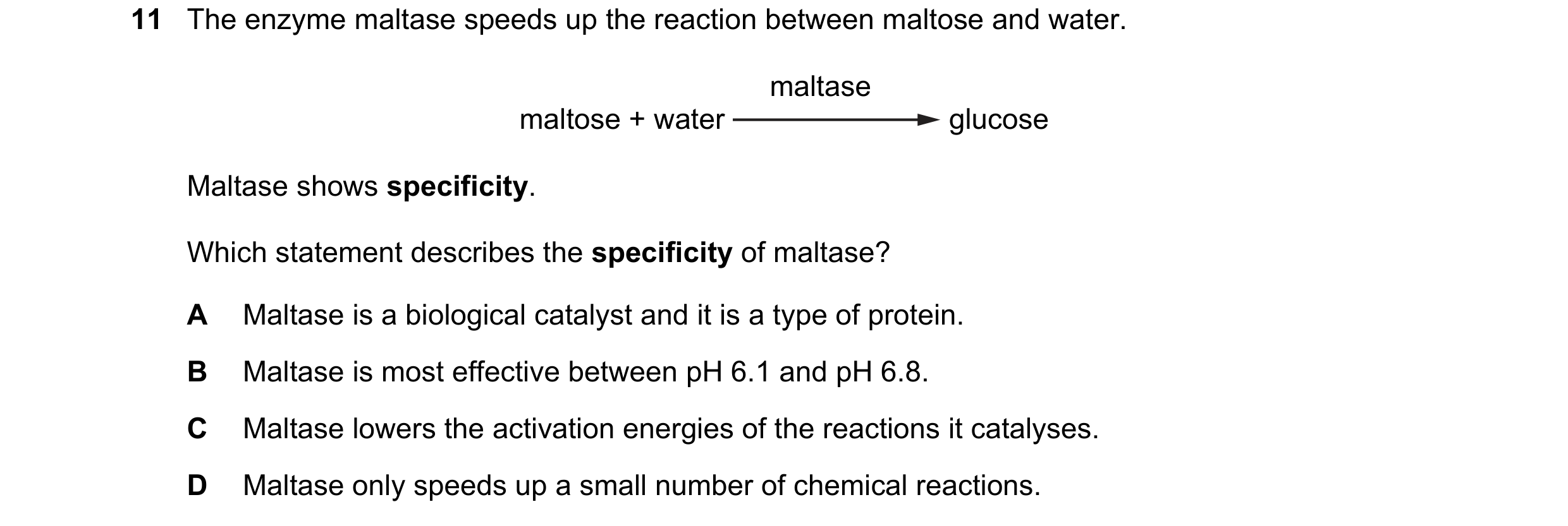 Question 31: The enzyme maltase speeds up the reaction between maltose and water. maltase maltose + water glucose Maltase shows specificity. Which state…