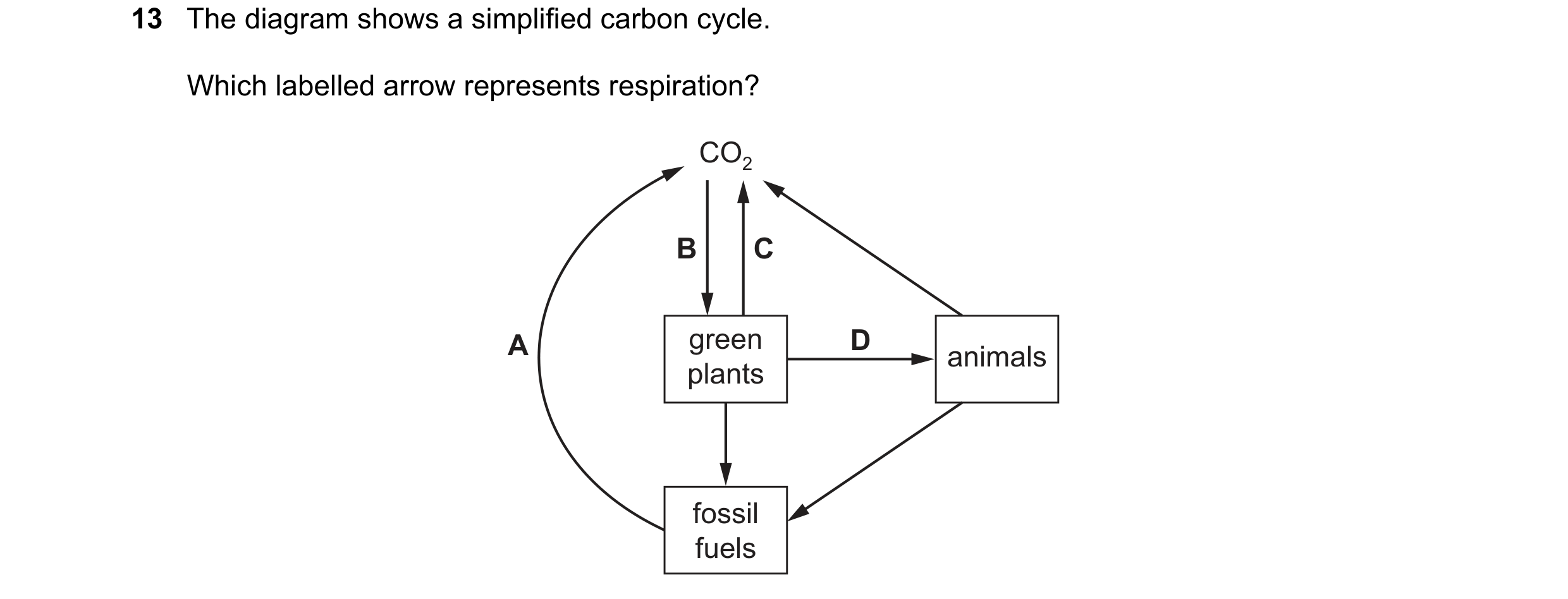 Question 25: The diagram shows a simplified carbon cycle. Which labelled arrow represents respiration? CO2 B C A green D animals plants fossil fuels