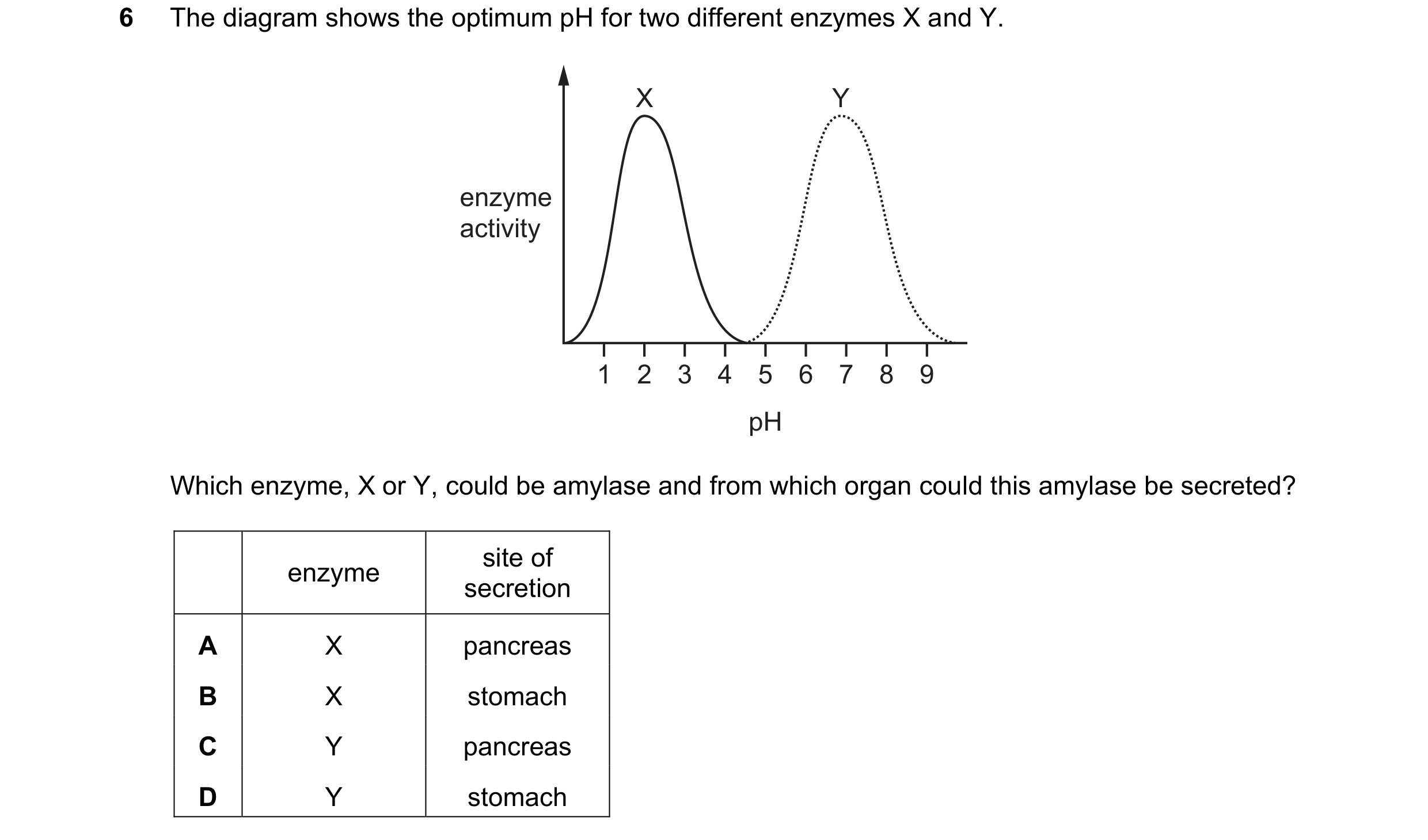 Question 15: The diagram shows the optimum pH for two different enzymes X and Y. X Y enzyme activity 1 2 3 4 5 6 7 8 9 pH Which enzyme, X or Y, could be…
