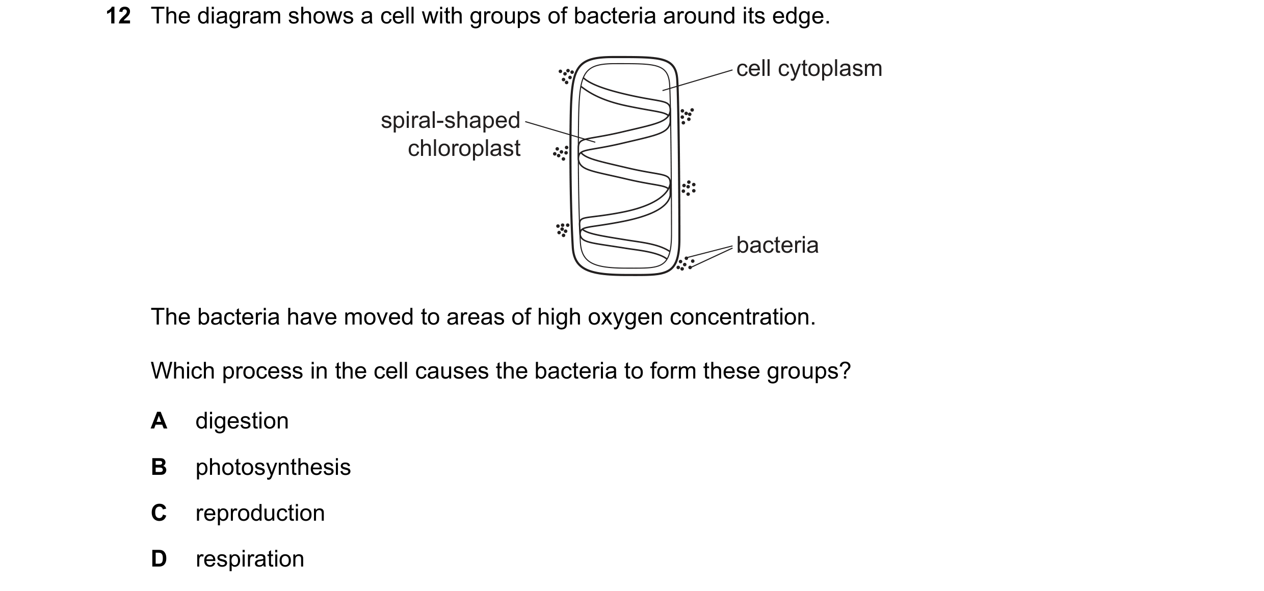 Question 18: The diagram shows a cell with groups of bacteria around its edge. cell cytoplasm spiral-shaped chloroplast bacteria The bacteria have moved…