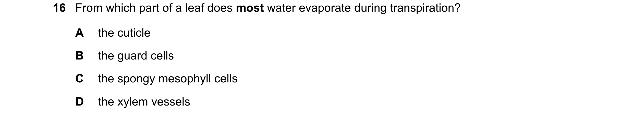 Question 16: From which part of a leaf does most water evaporate during transpiration? A the cuticle B the guard cells C the spongy mesophyll cells D th…