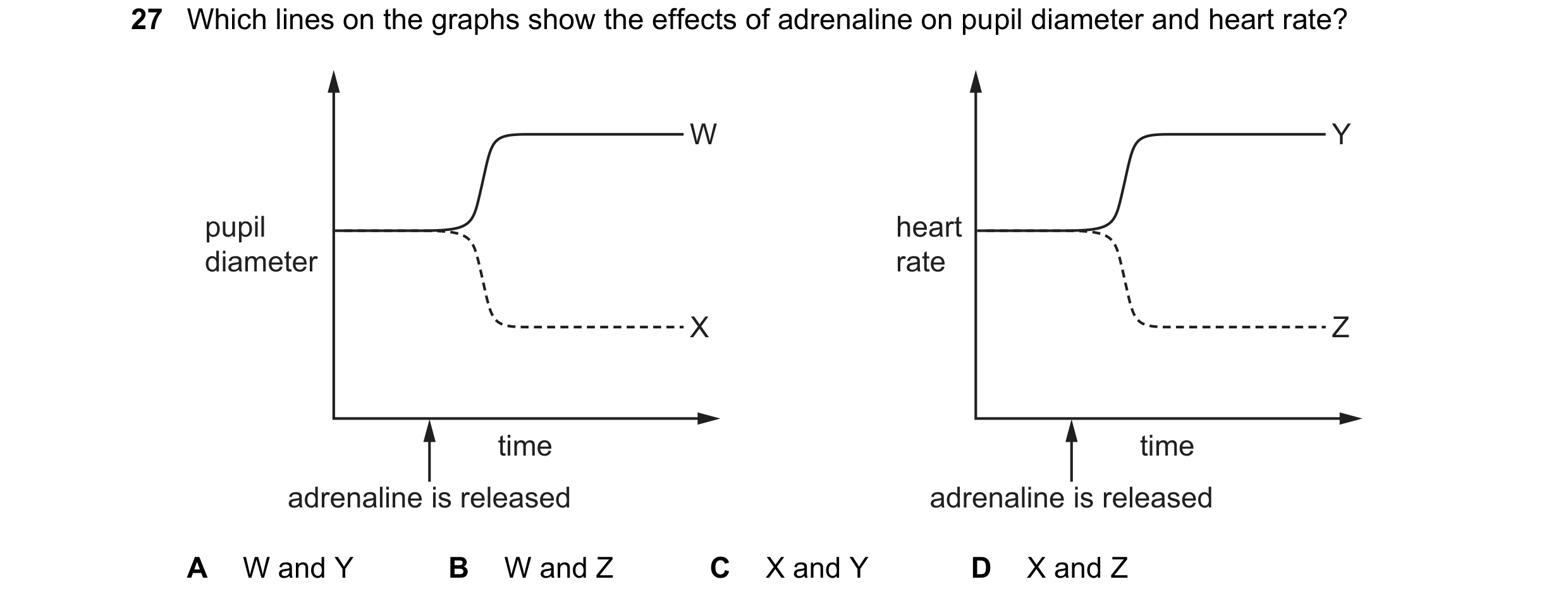 Question 29: Which lines on the graphs show the effects of adrenaline on pupil diameter and heart rate? W Y pupil heart diameter rate X Z time time adre…