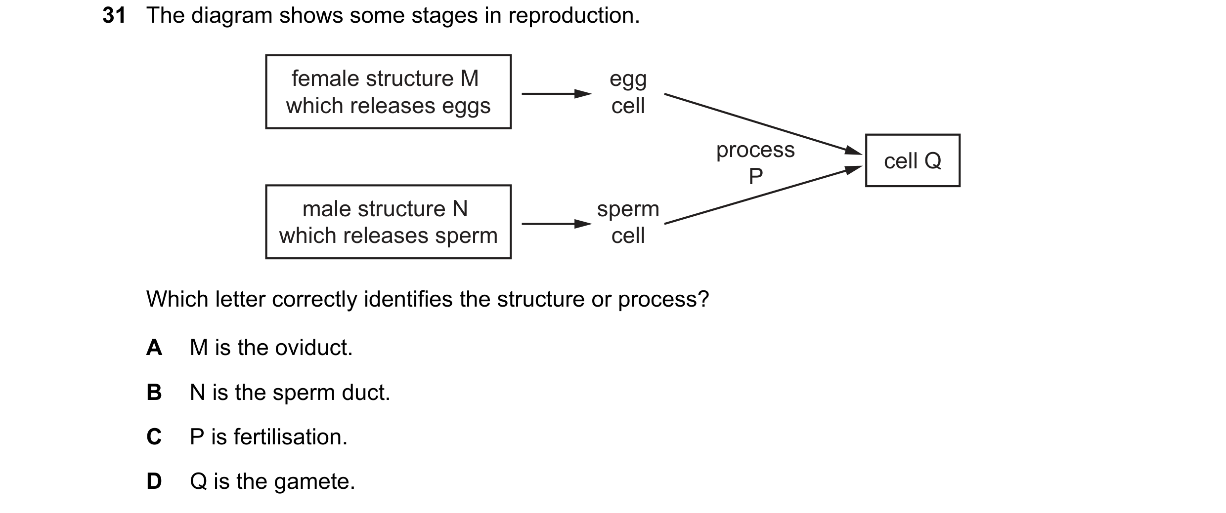 Question 22: The diagram shows some stages in reproduction. female structure M egg which releases eggs cell process cell Q P male structure N sperm whic…